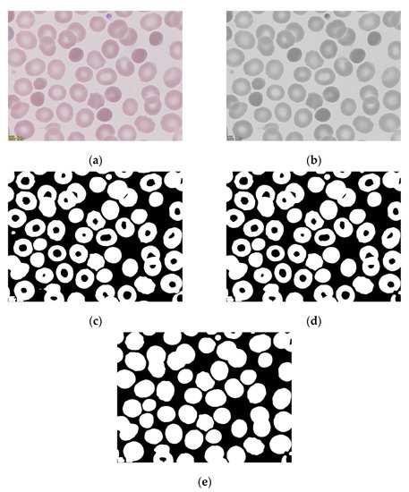 Entropy 22 00657 g0a1