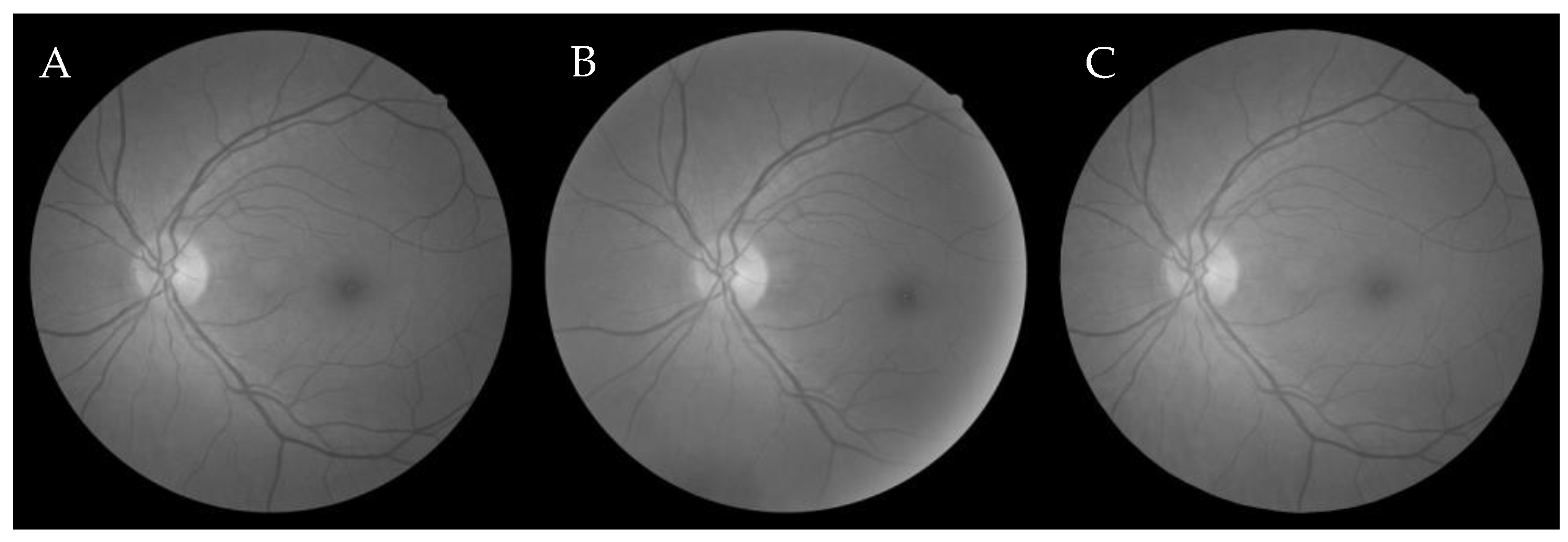 Entropy 22 00659 g002
