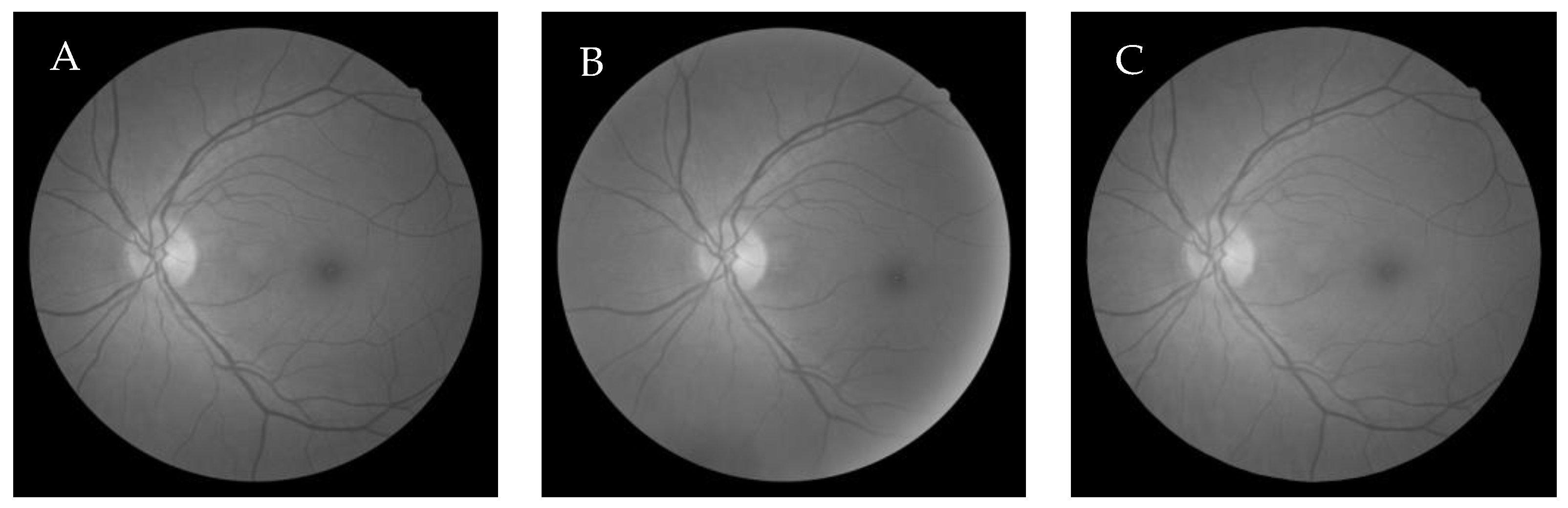Entropy 22 00659 g003