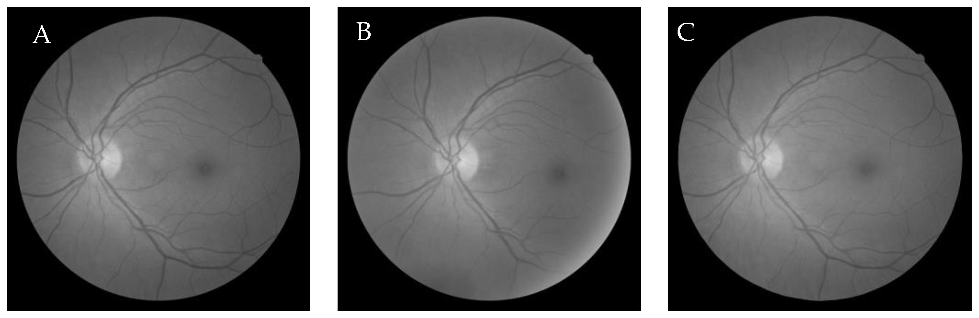 Entropy 22 00659 g006