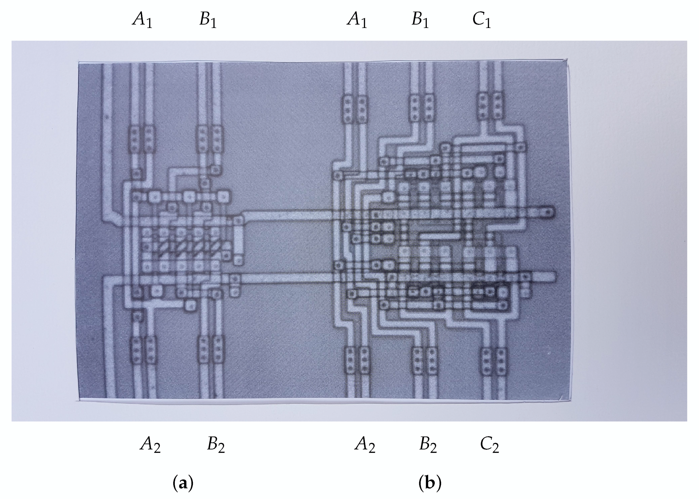 Entropy 22 00660 g001