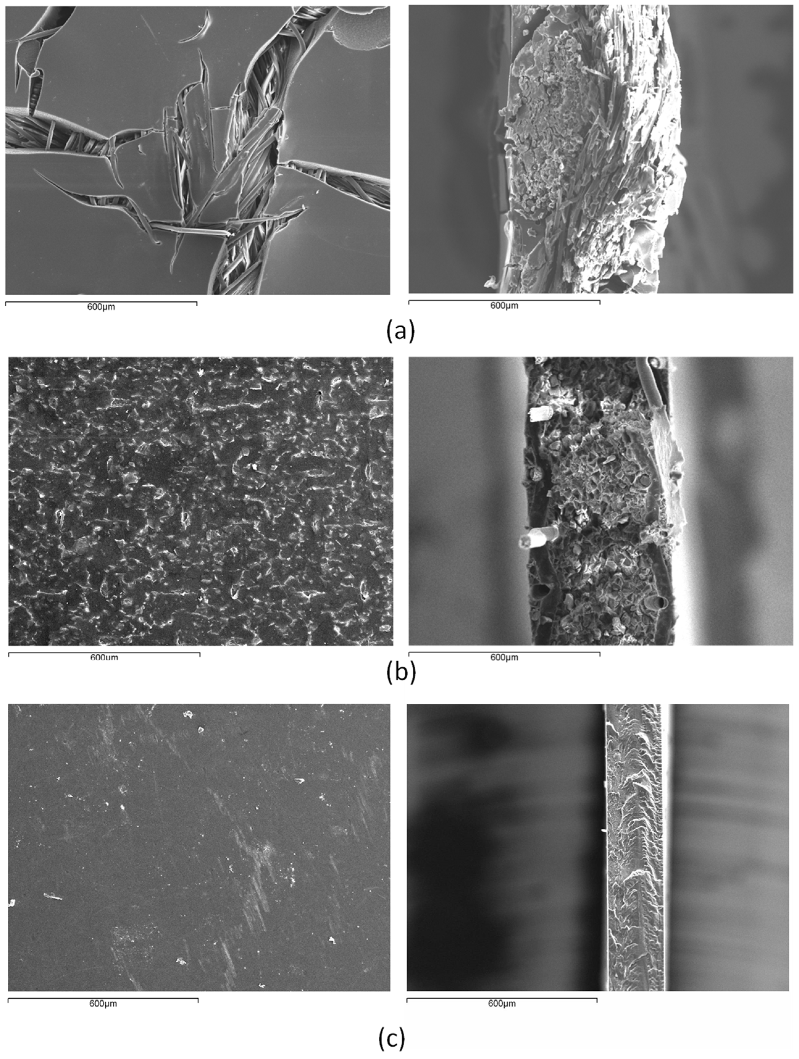 Entropy 22 00692 g001