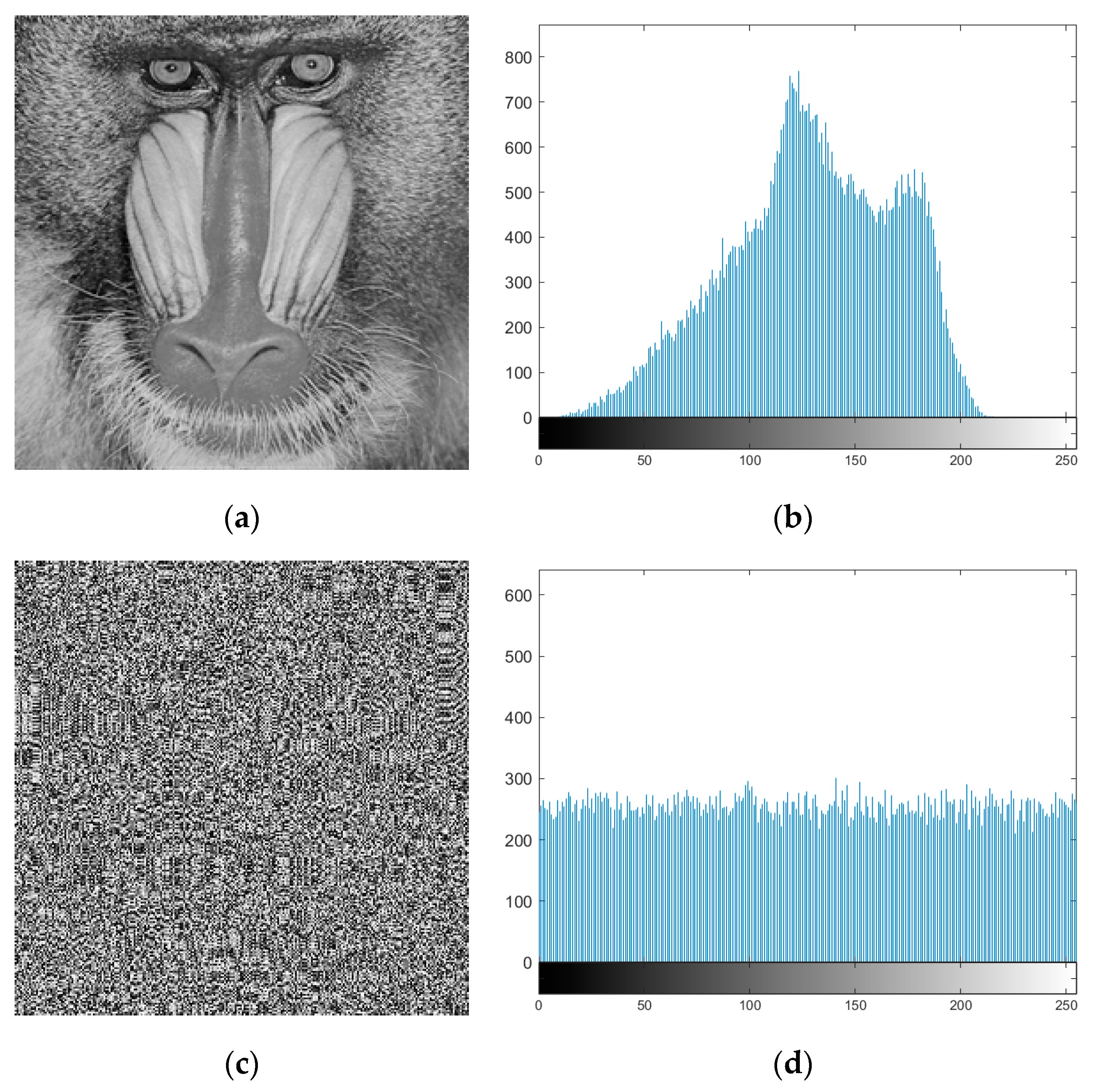 Entropy 22 00717 g003