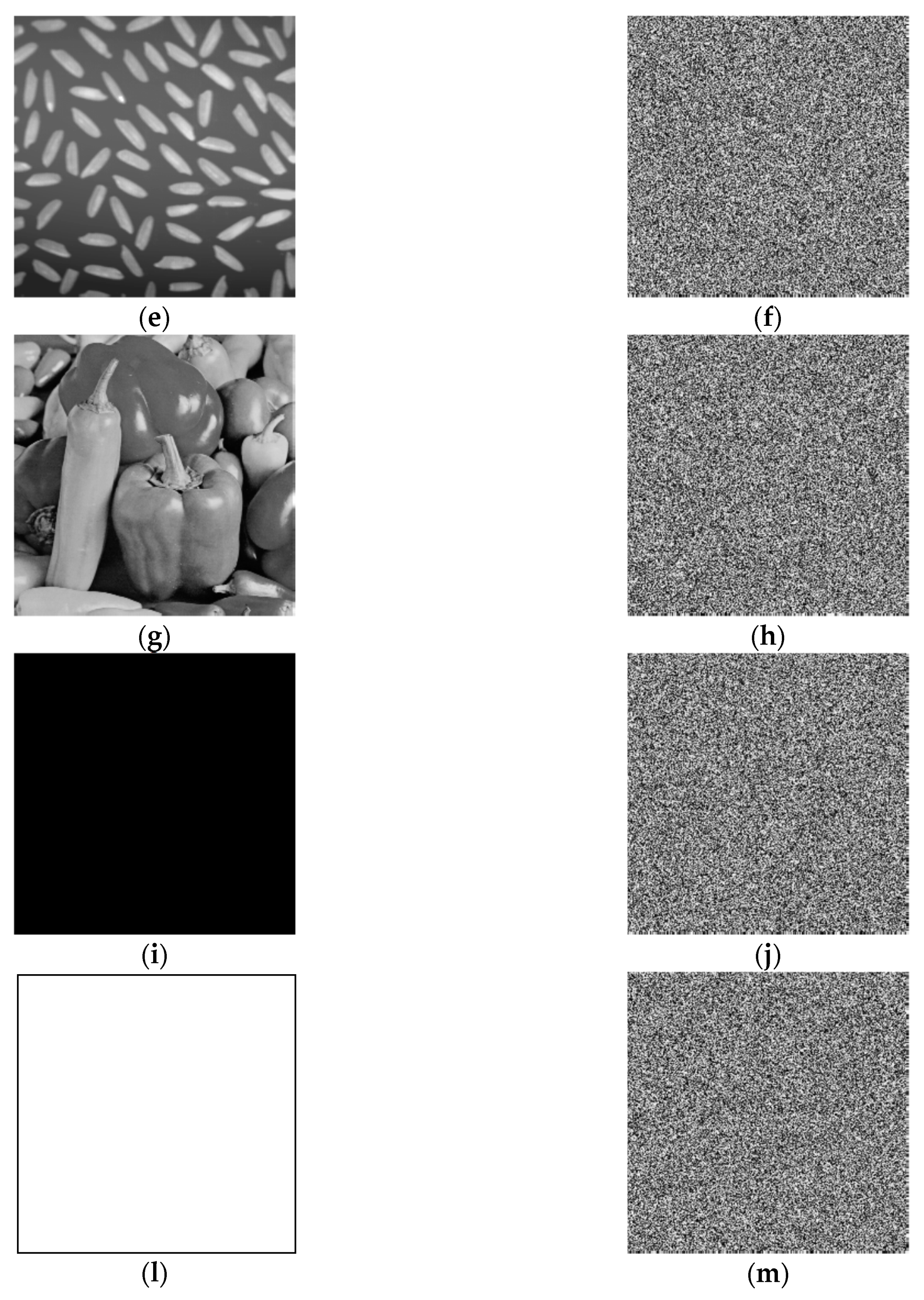 Entropy 22 00772 g005b