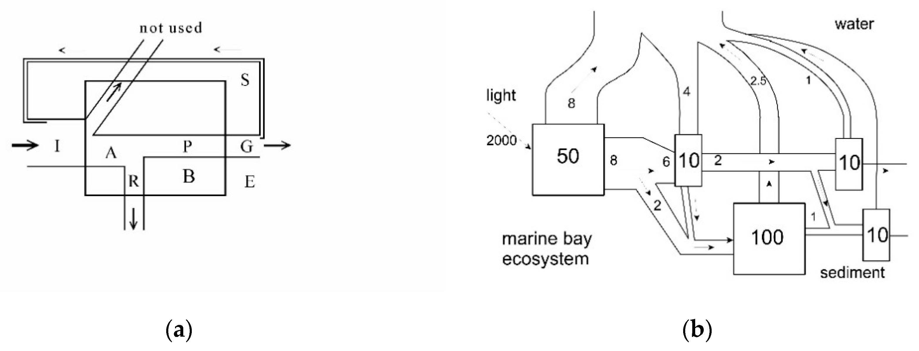 Entropy 22 00820 g002