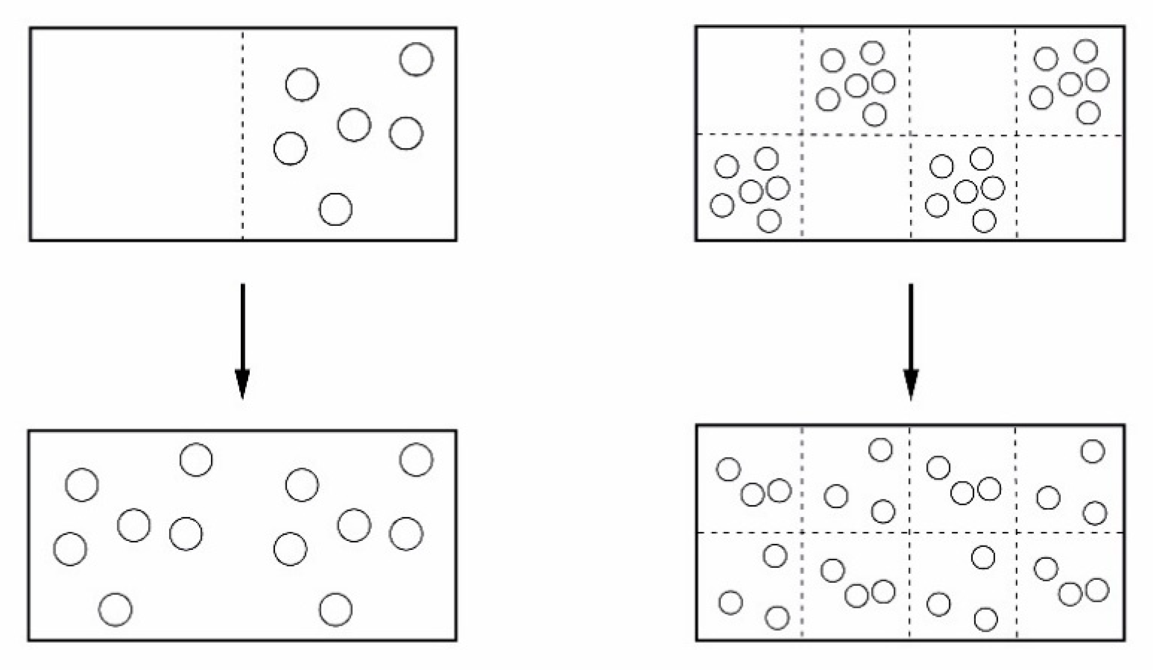 Entropy 22 00820 g003