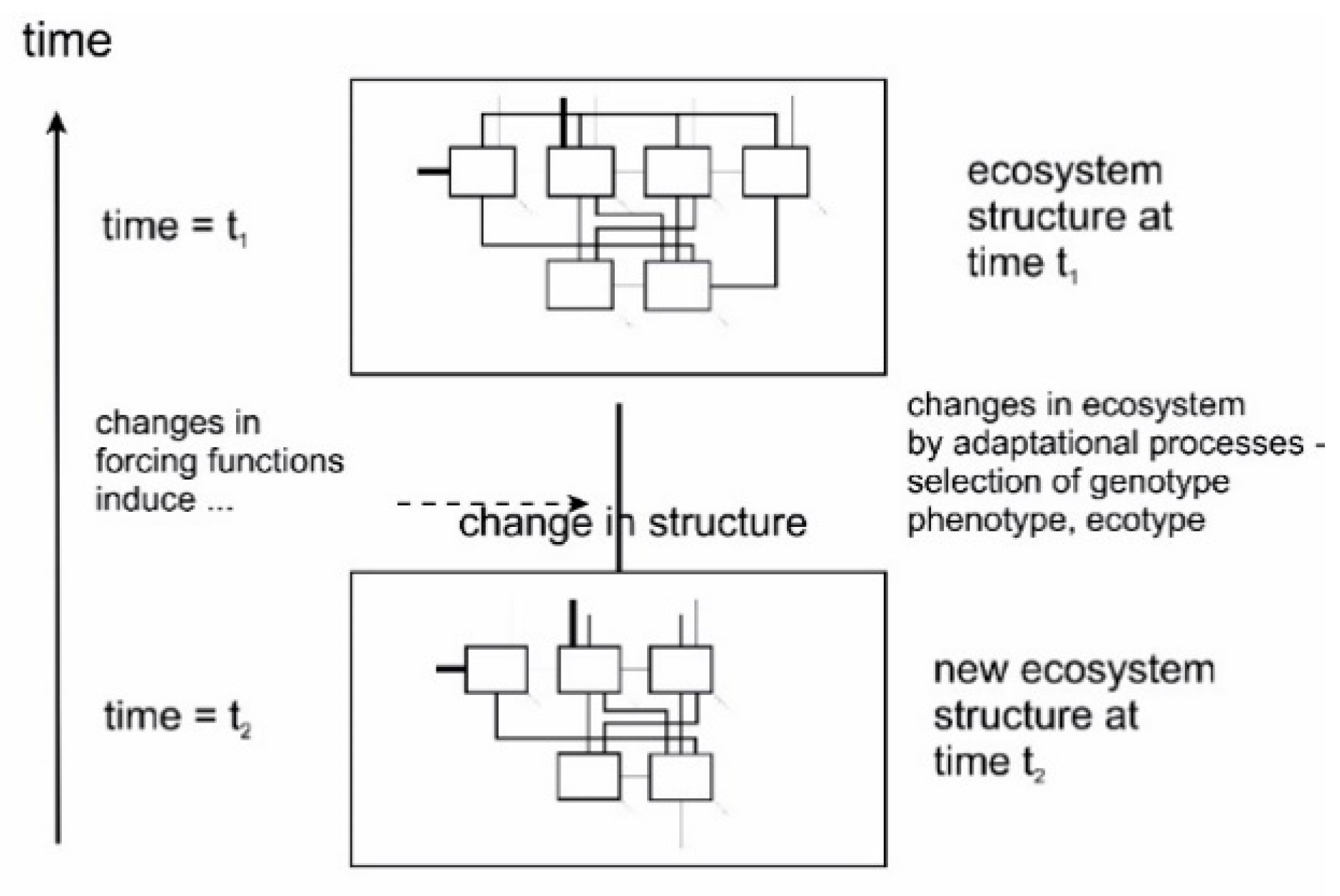 Entropy 22 00820 g014