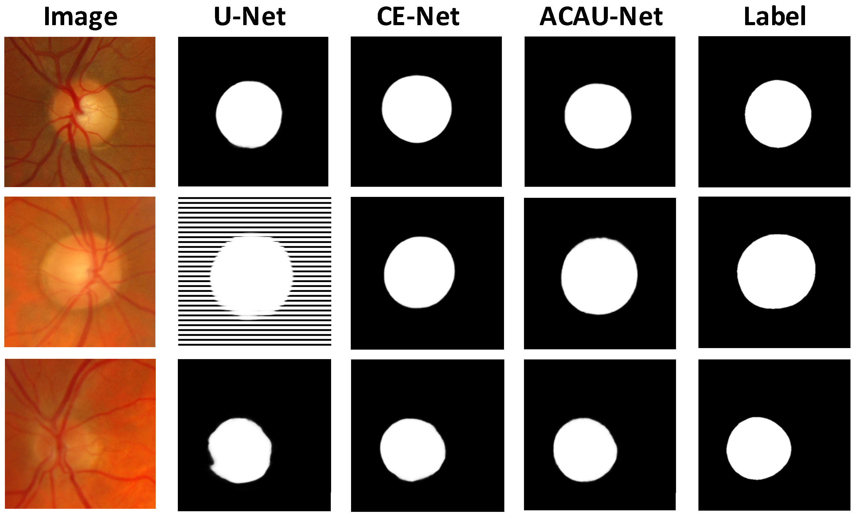 Entropy 22 00844 g005