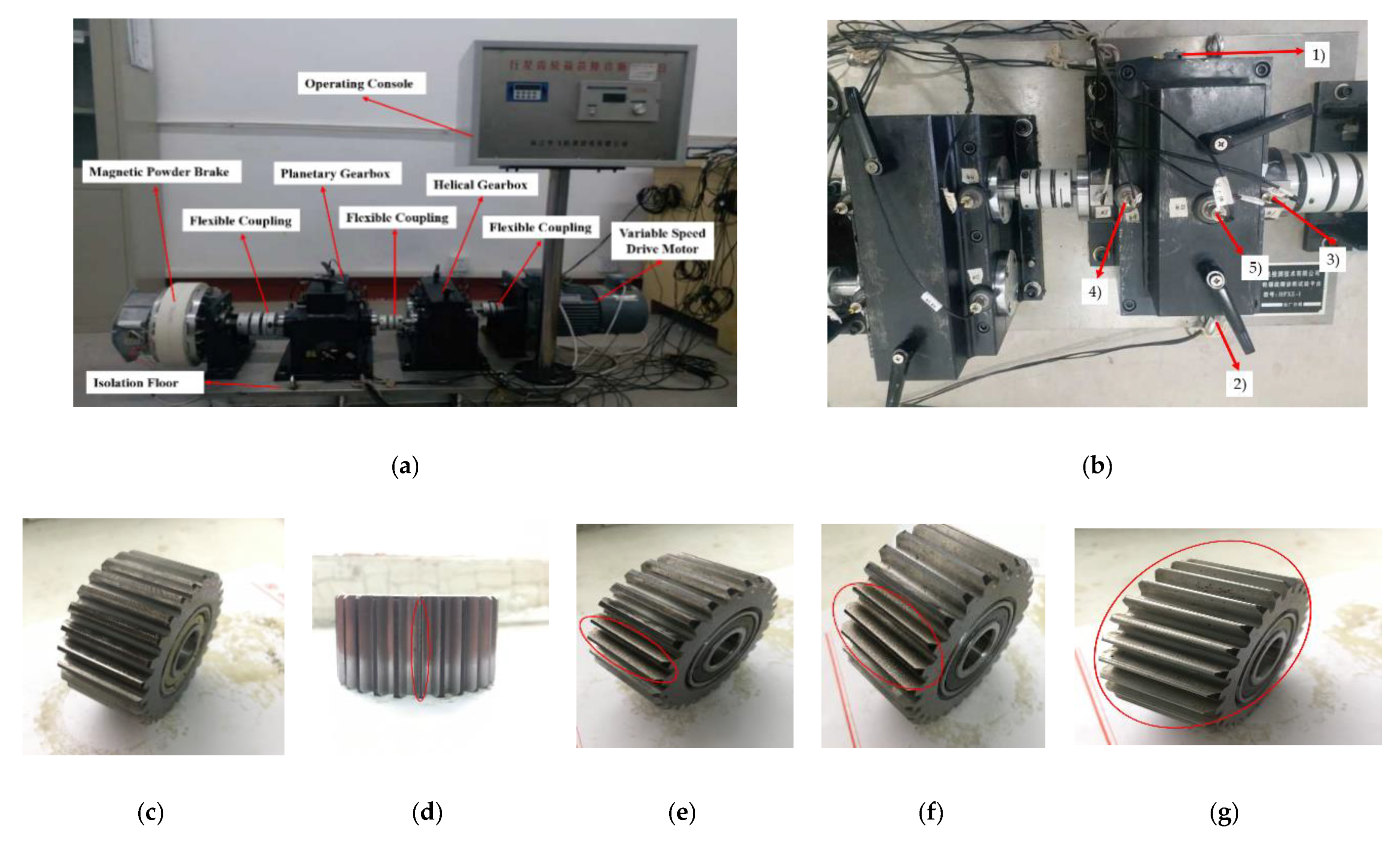 Entropy 22 00851 g005