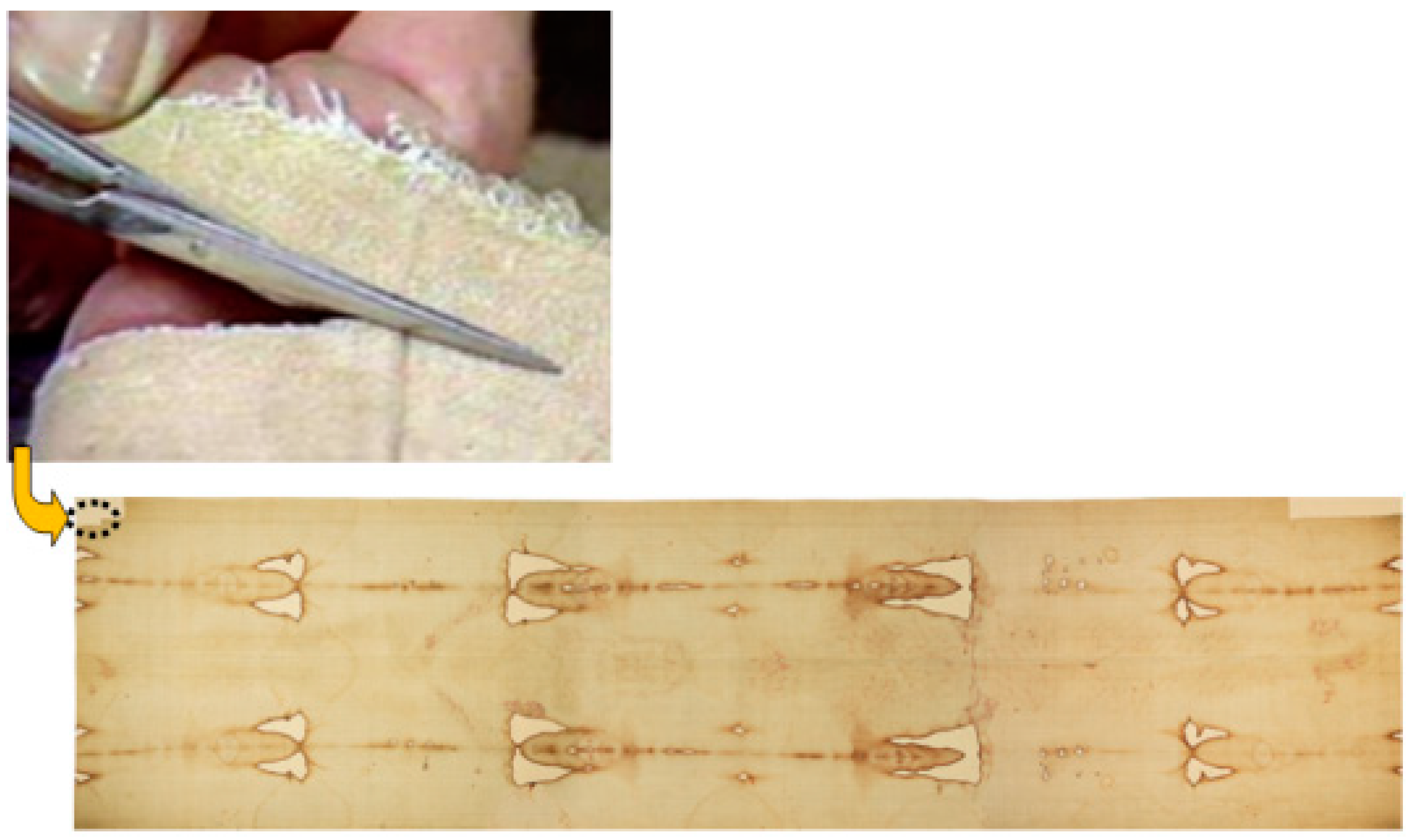 Entropy 22 00926 g001 Entropy 22 00926 g001