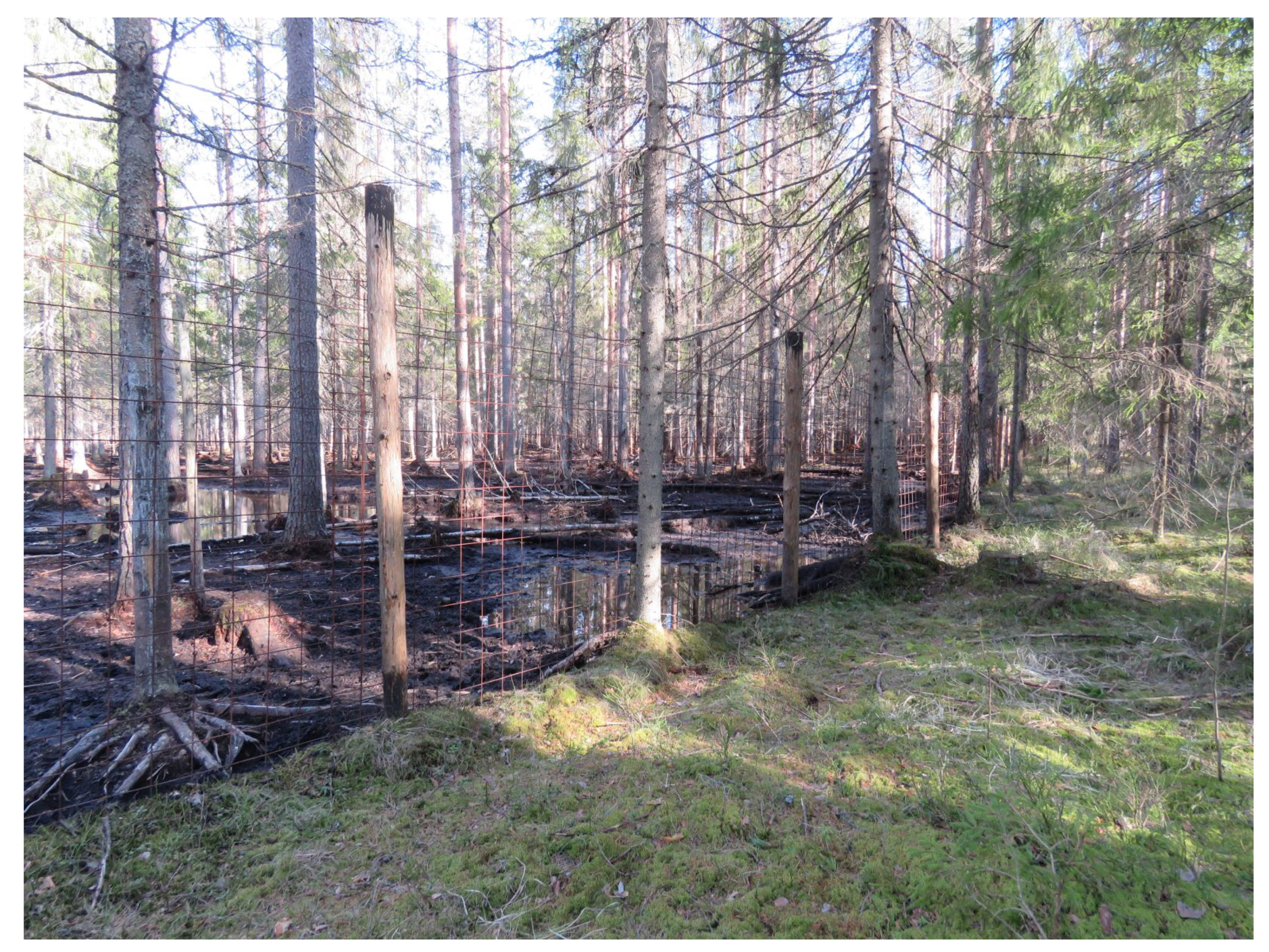 Entropy 22 01025 g005