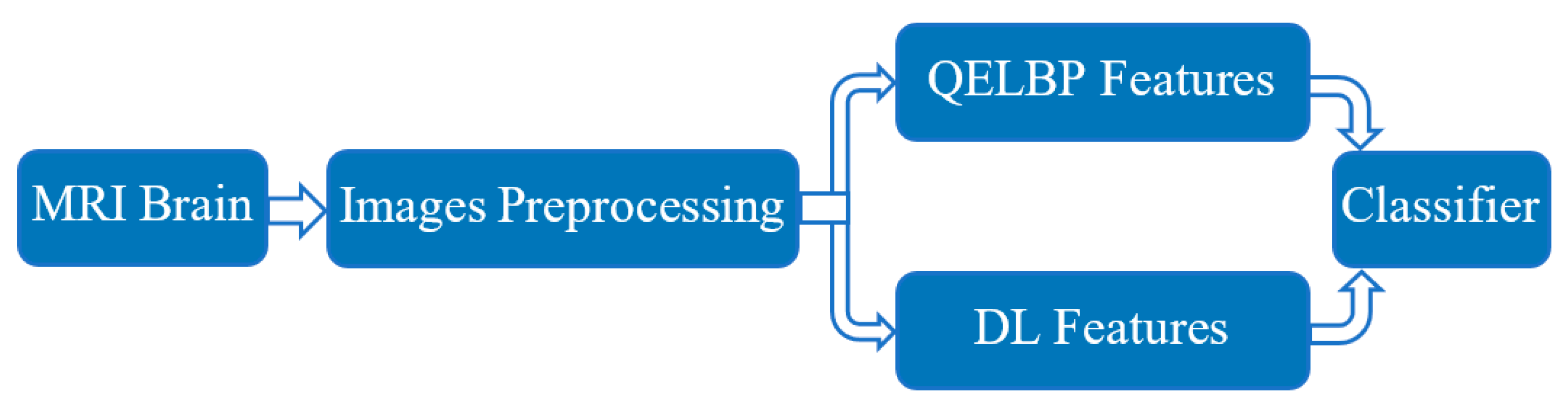 Entropy 22 01033 g001