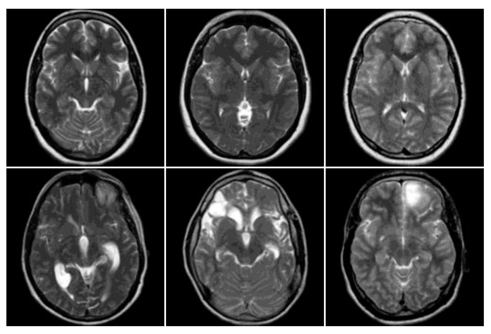 Entropy 22 01033 g003