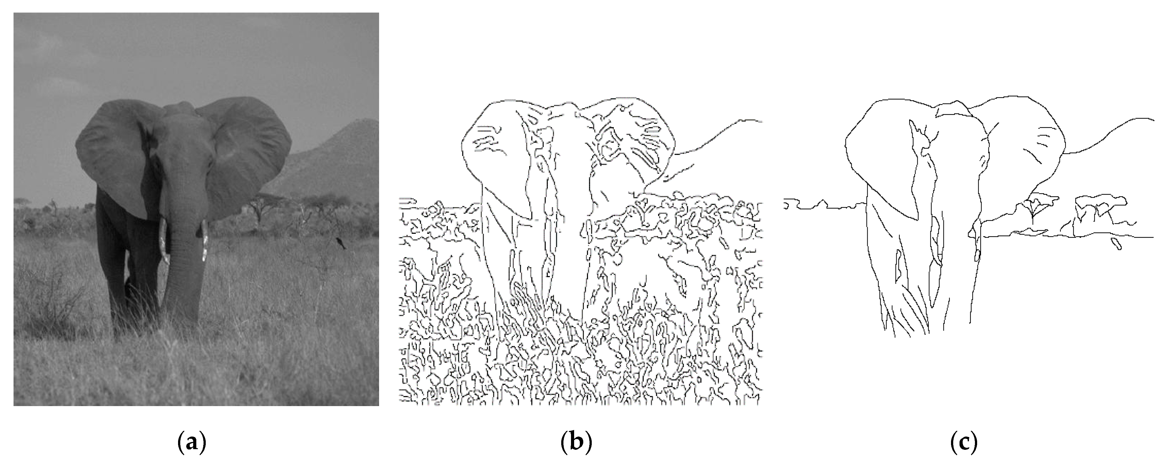 Entropy 22 01080 g001 Entropy 22 01080 g001