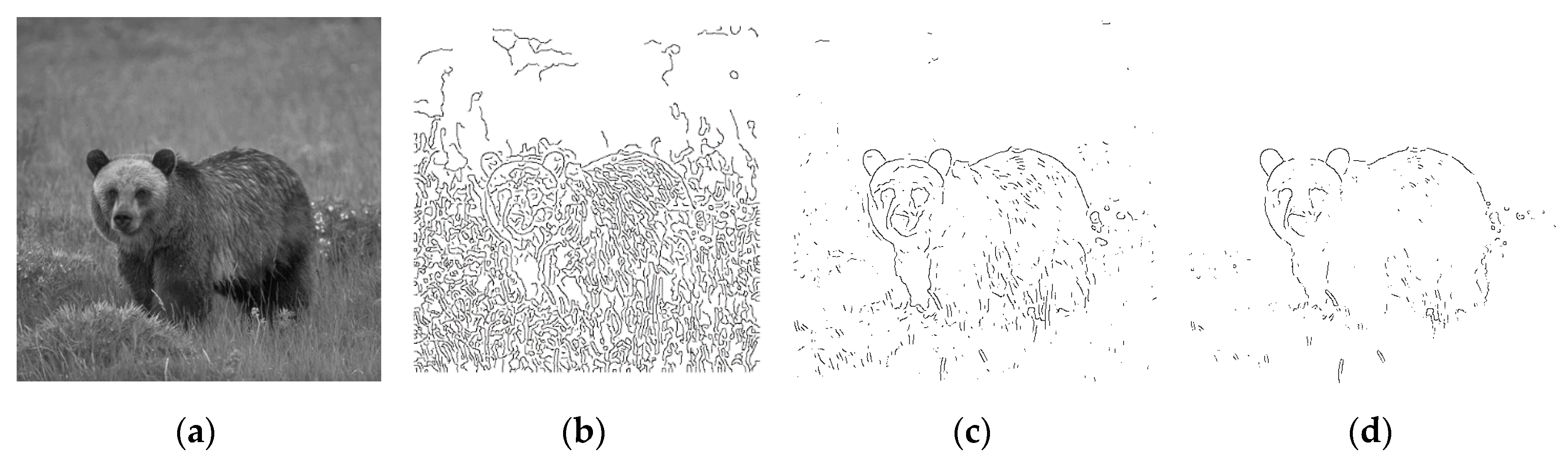 Entropy 22 01080 g006 Entropy 22 01080 g006