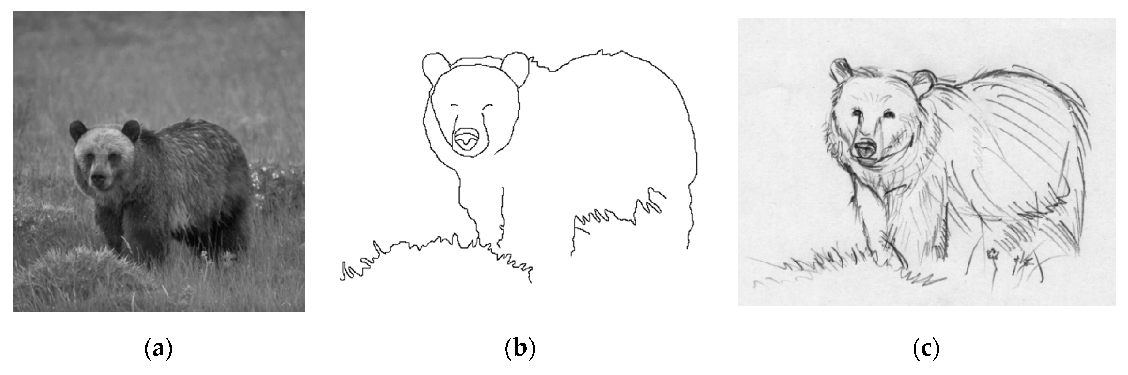 Entropy 22 01080 g011 Entropy 22 01080 g011