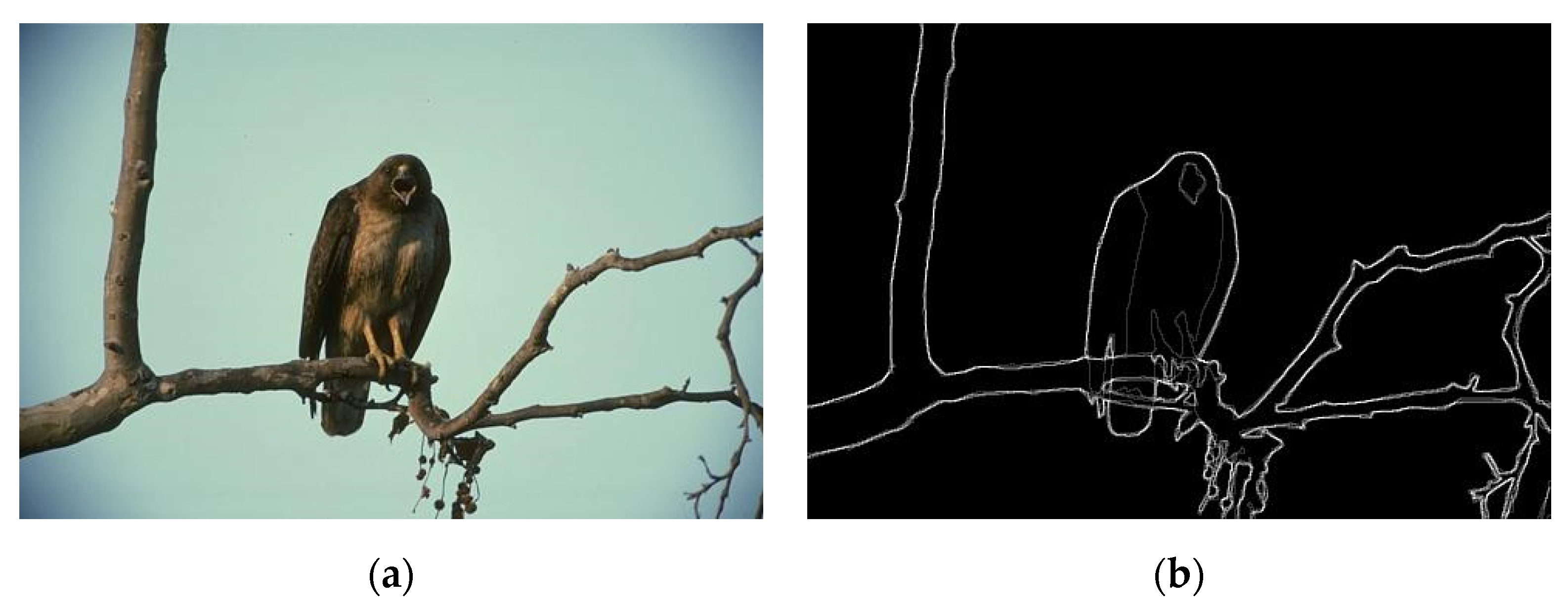 Entropy 22 01080 g012 Entropy 22 01080 g012