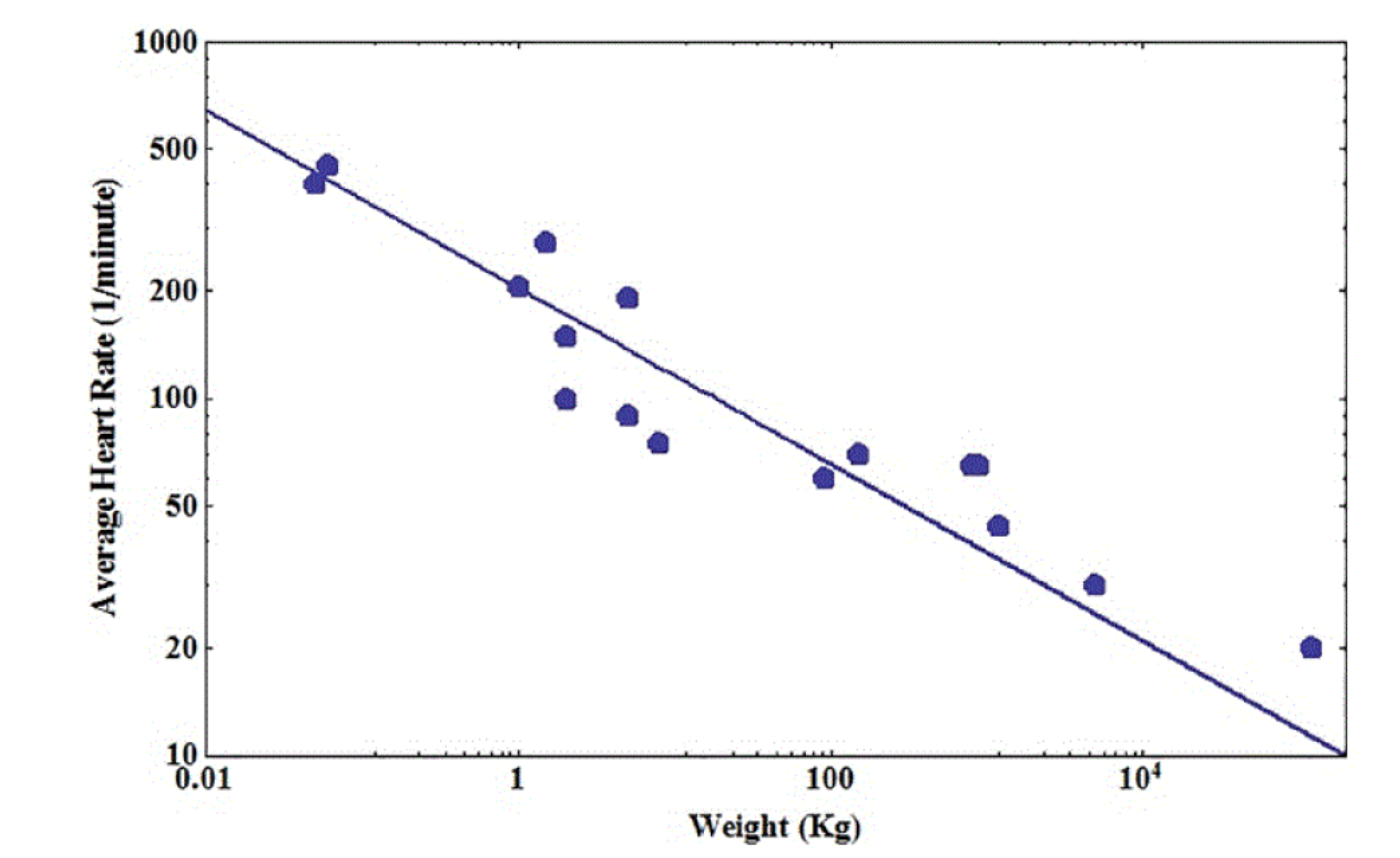 Entropy 22 01204 g004