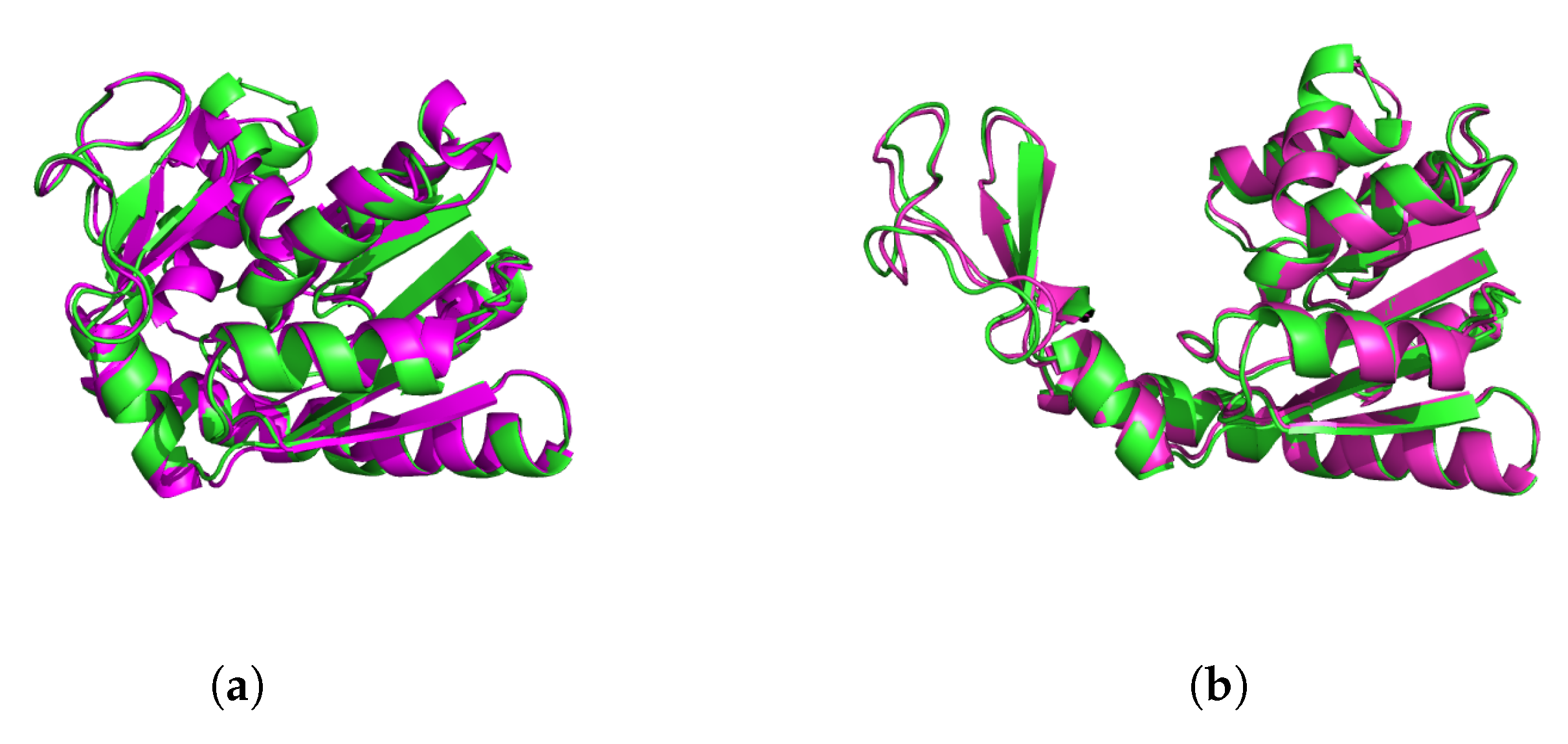 Entropy 22 01242 g004