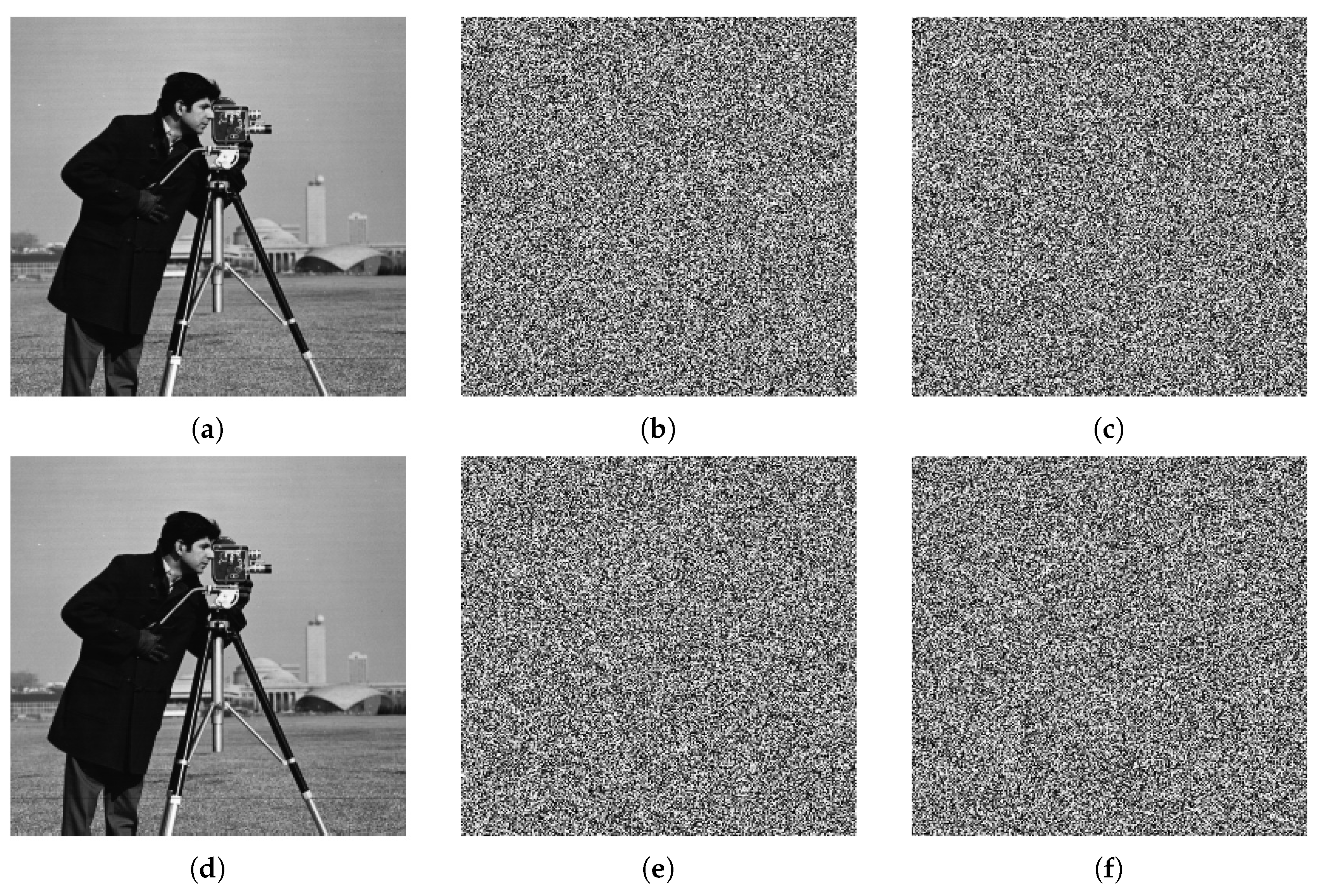 Entropy 22 01253 g012