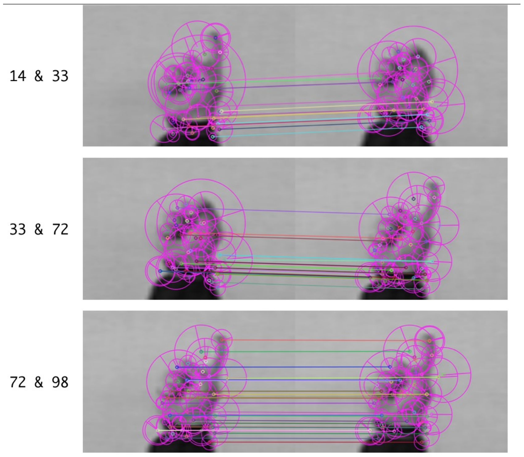 Entropy 22 01285 g007