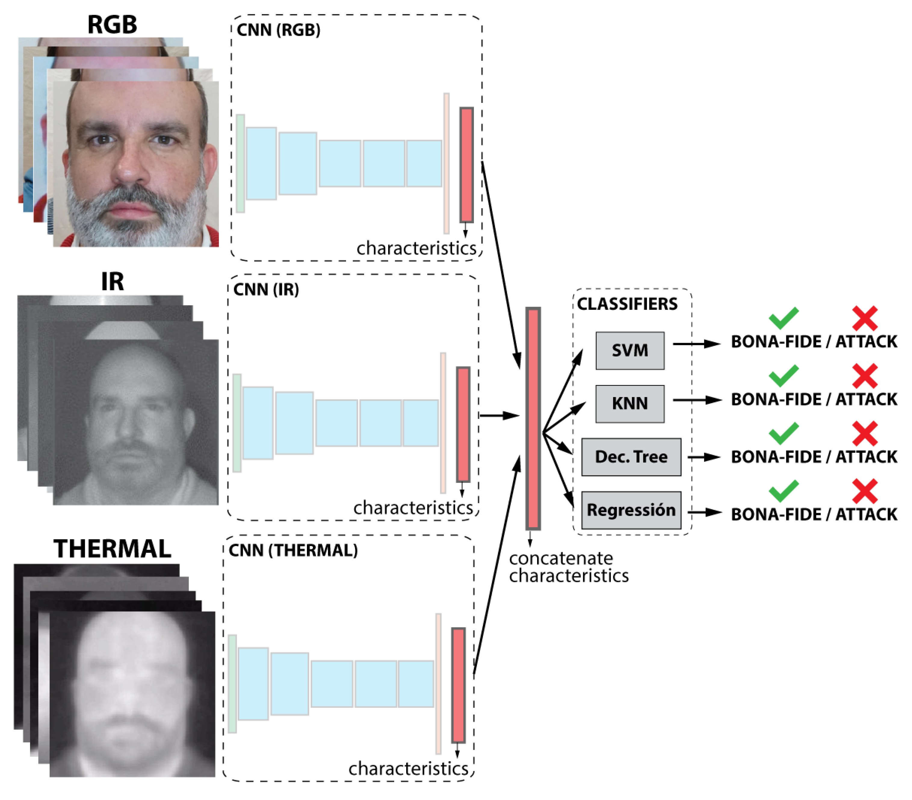 Entropy 22 01296 g005