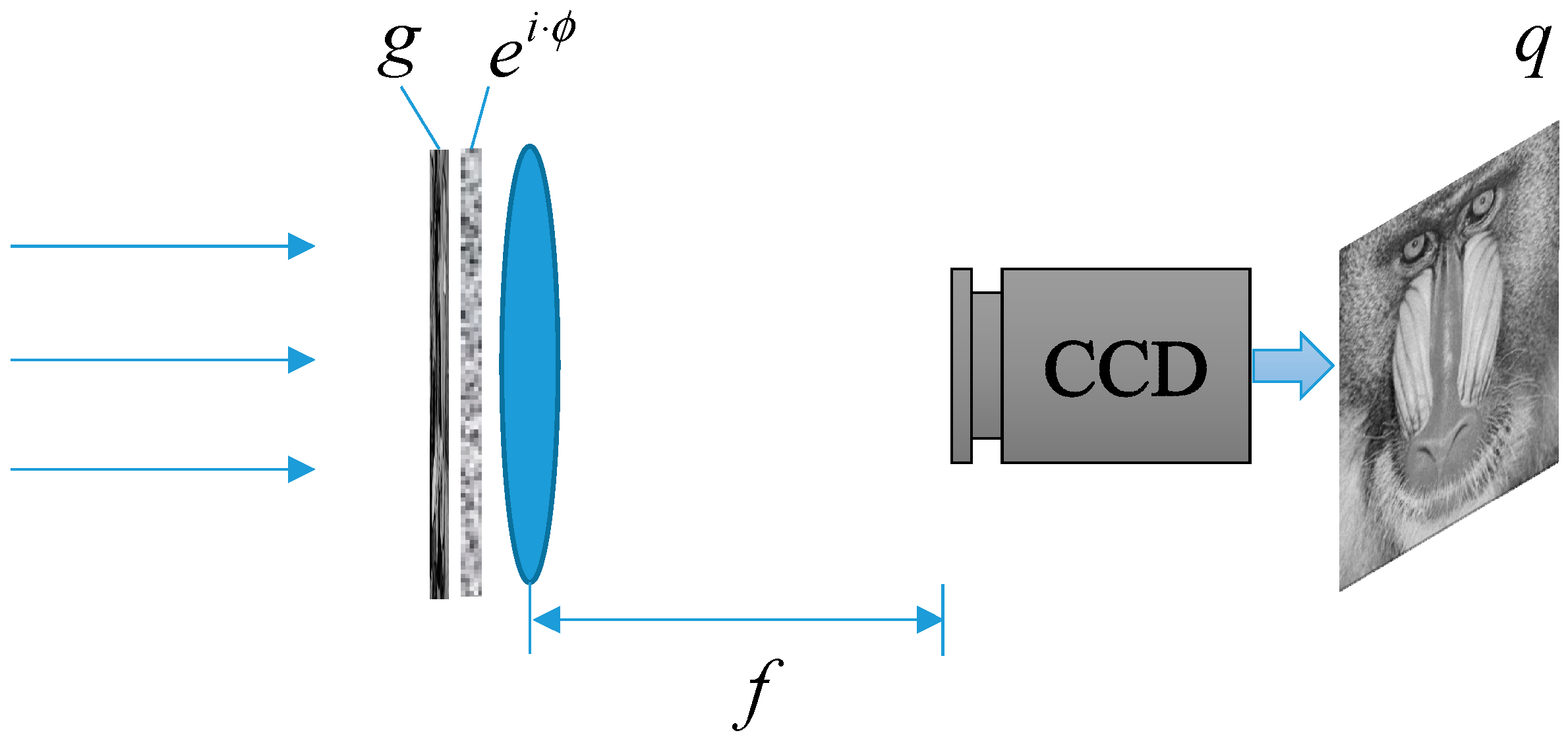 Entropy 22 01354 g003