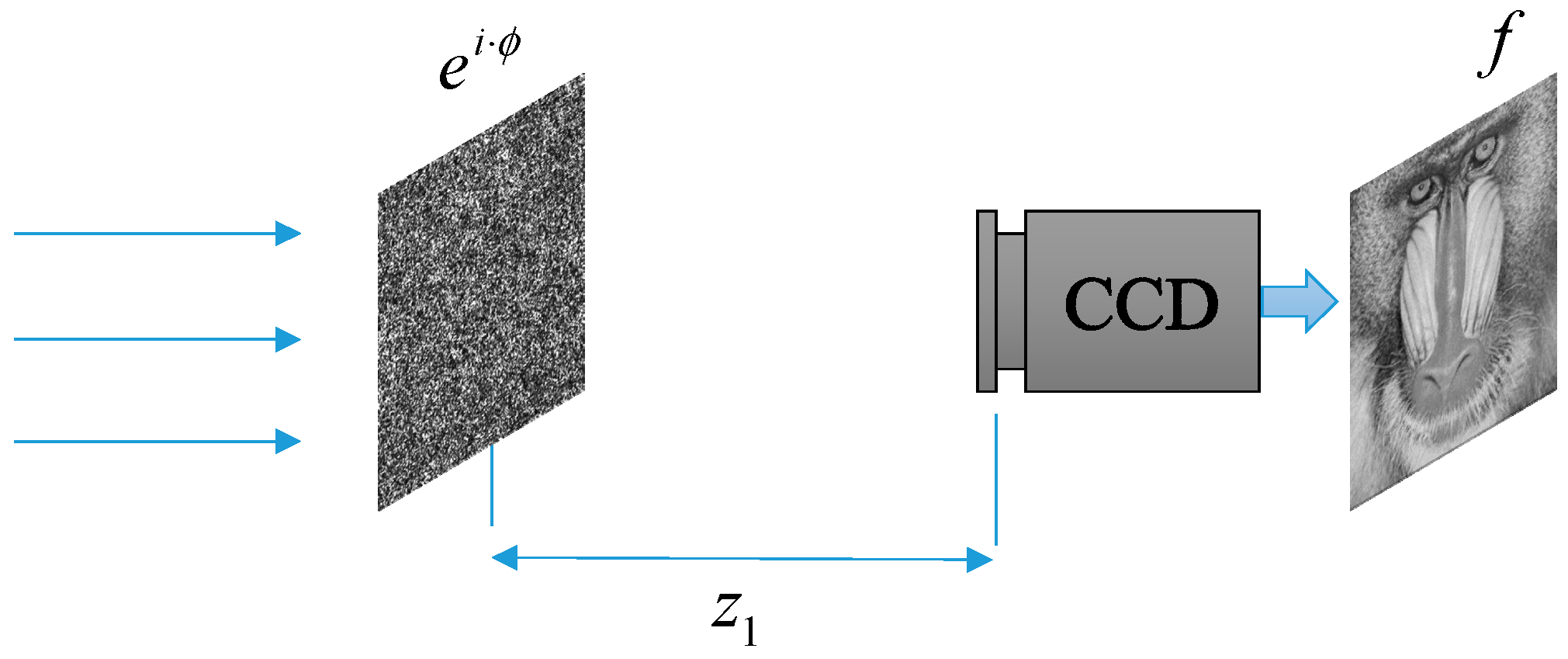 Entropy 22 01354 g006