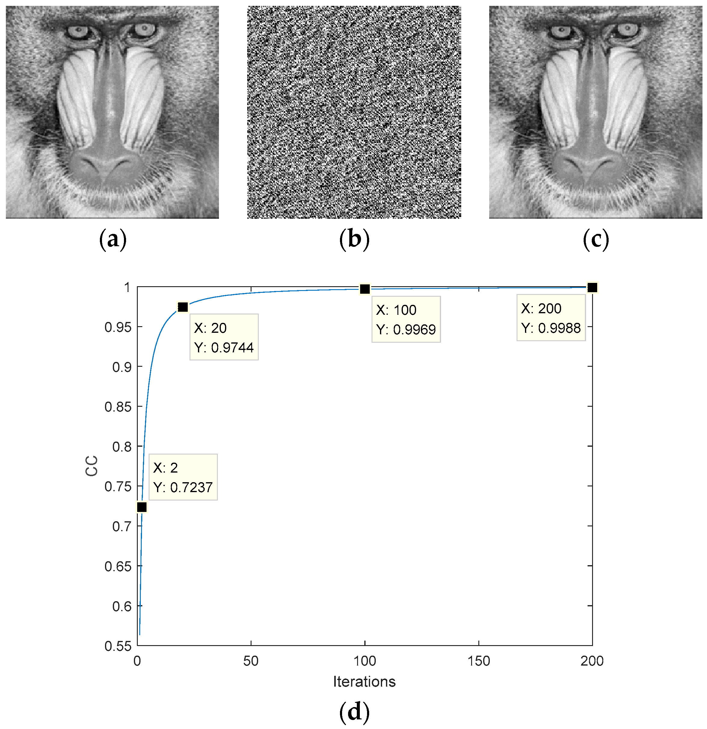 Entropy 22 01354 g008