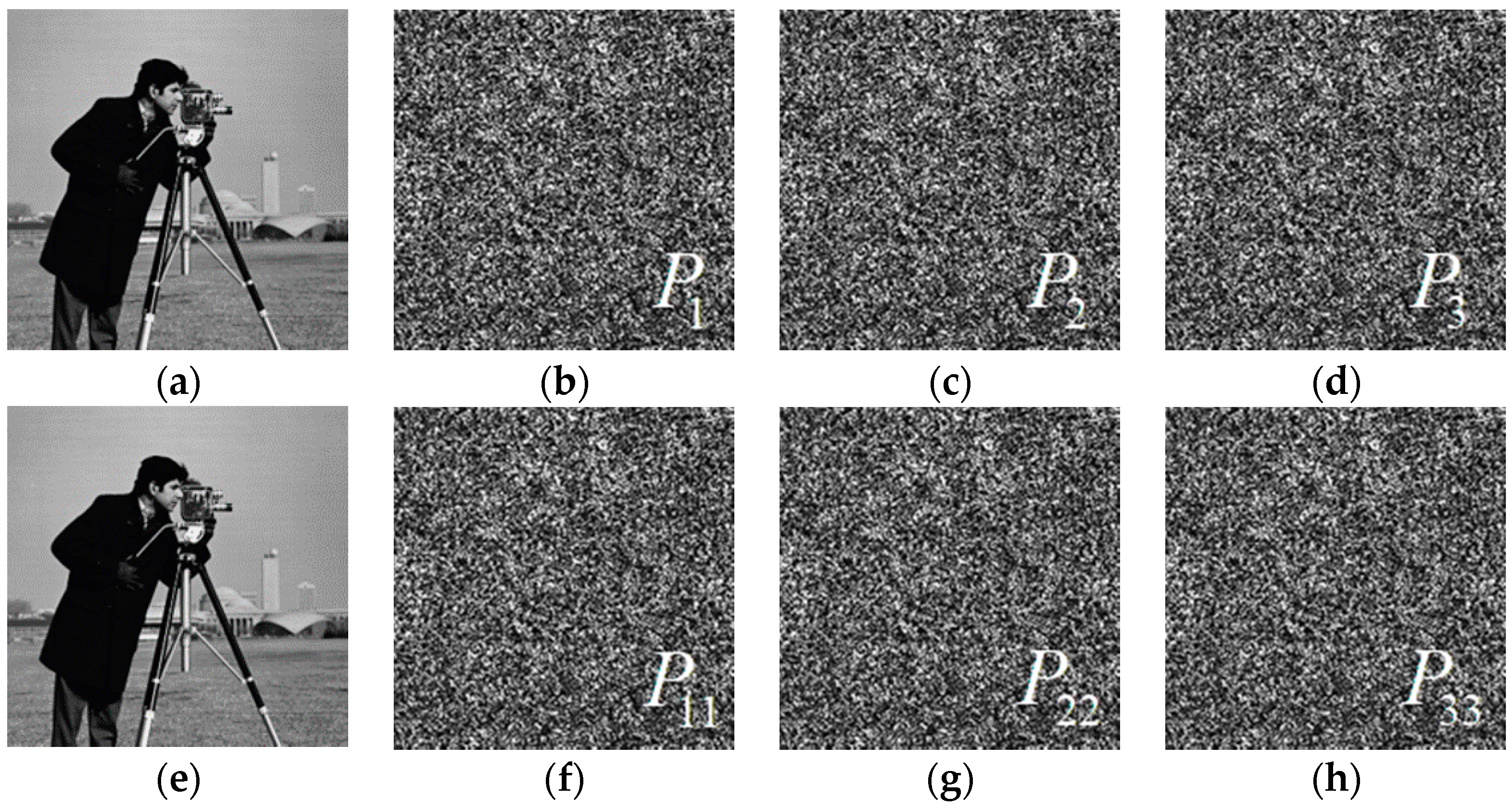 Entropy 22 01354 g018