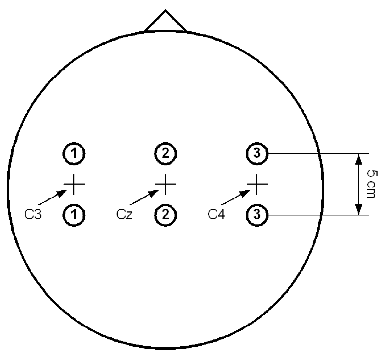 Entropy 22 01356 g001