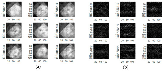 Entropy 22 01361 g010a Entropy 22 01361 g010a