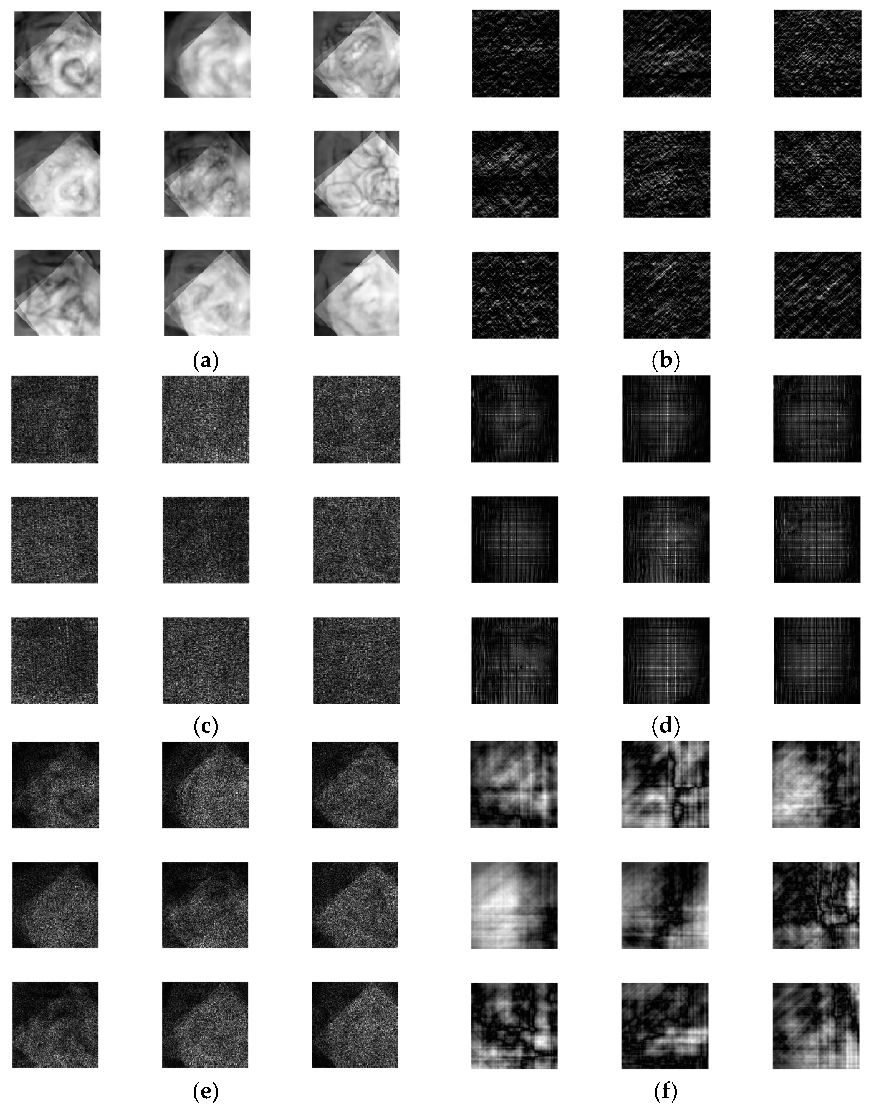 Entropy 22 01361 g012 Entropy 22 01361 g012
