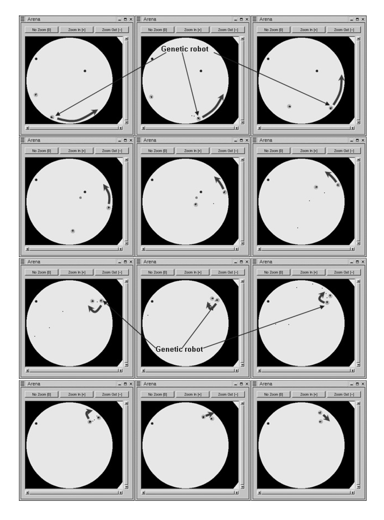 Entropy 22 01362 g015