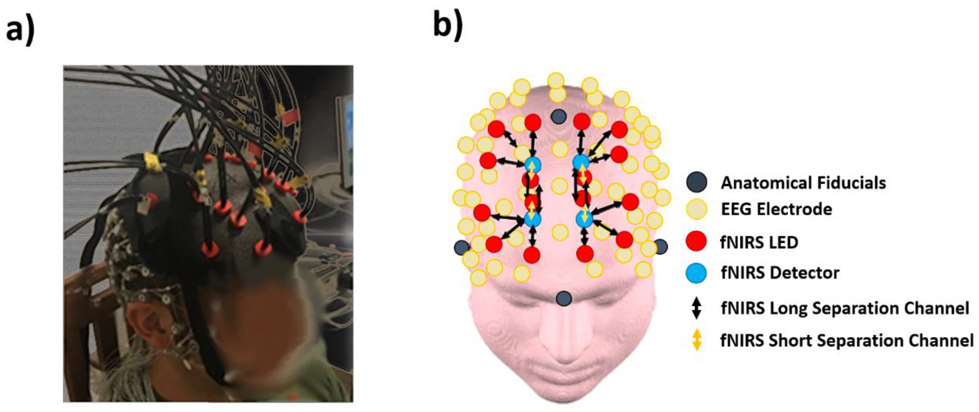 Entropy 22 01380 g002