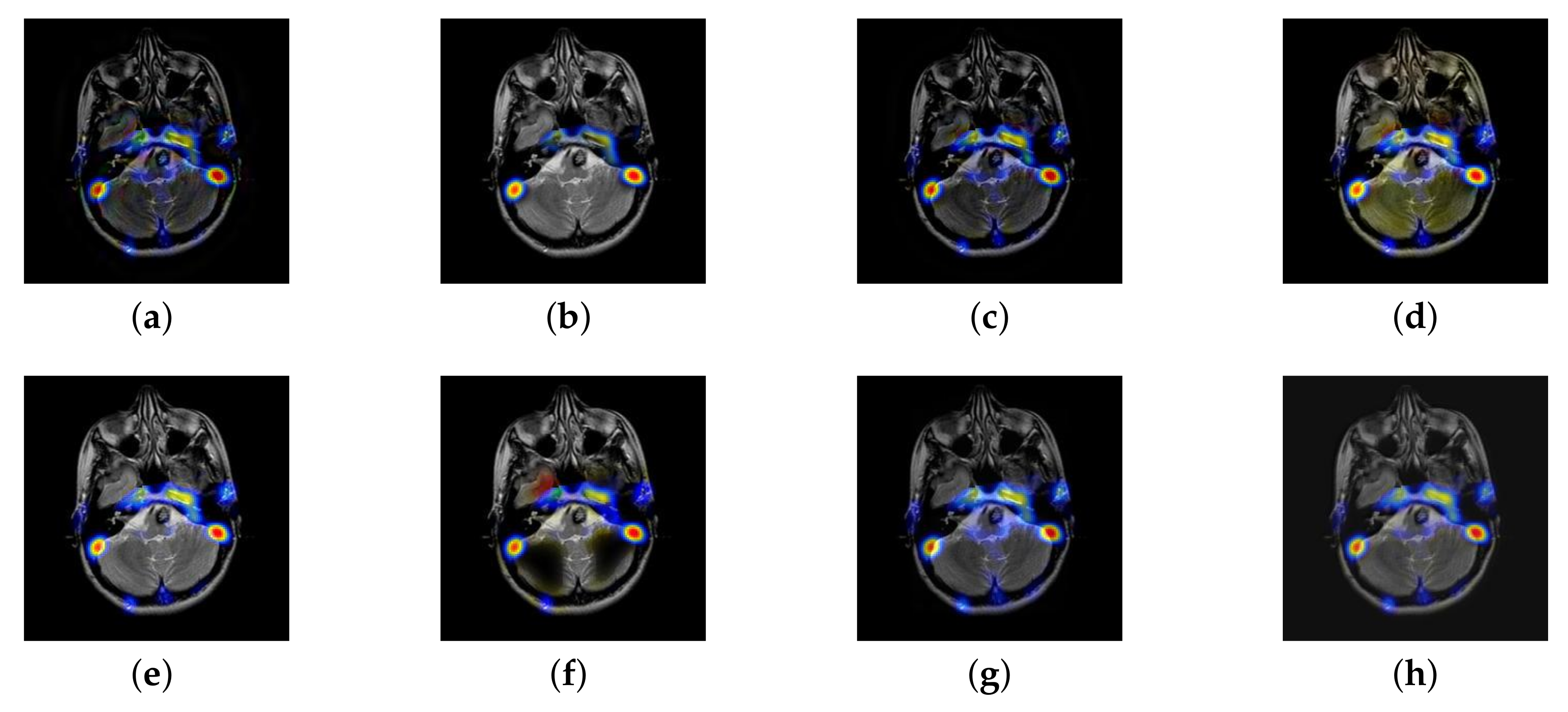 Entropy 22 01423 g009