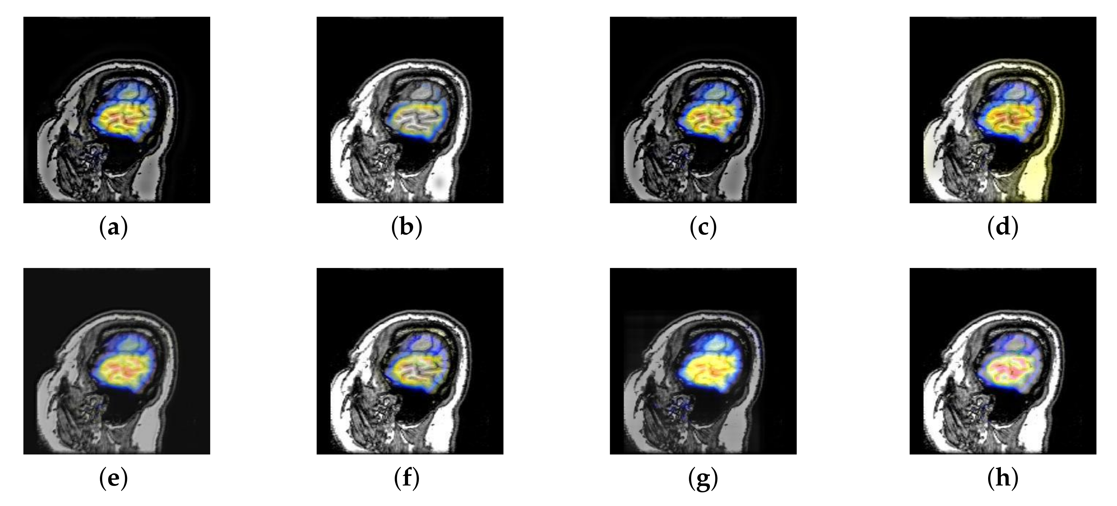 Entropy 22 01423 g028