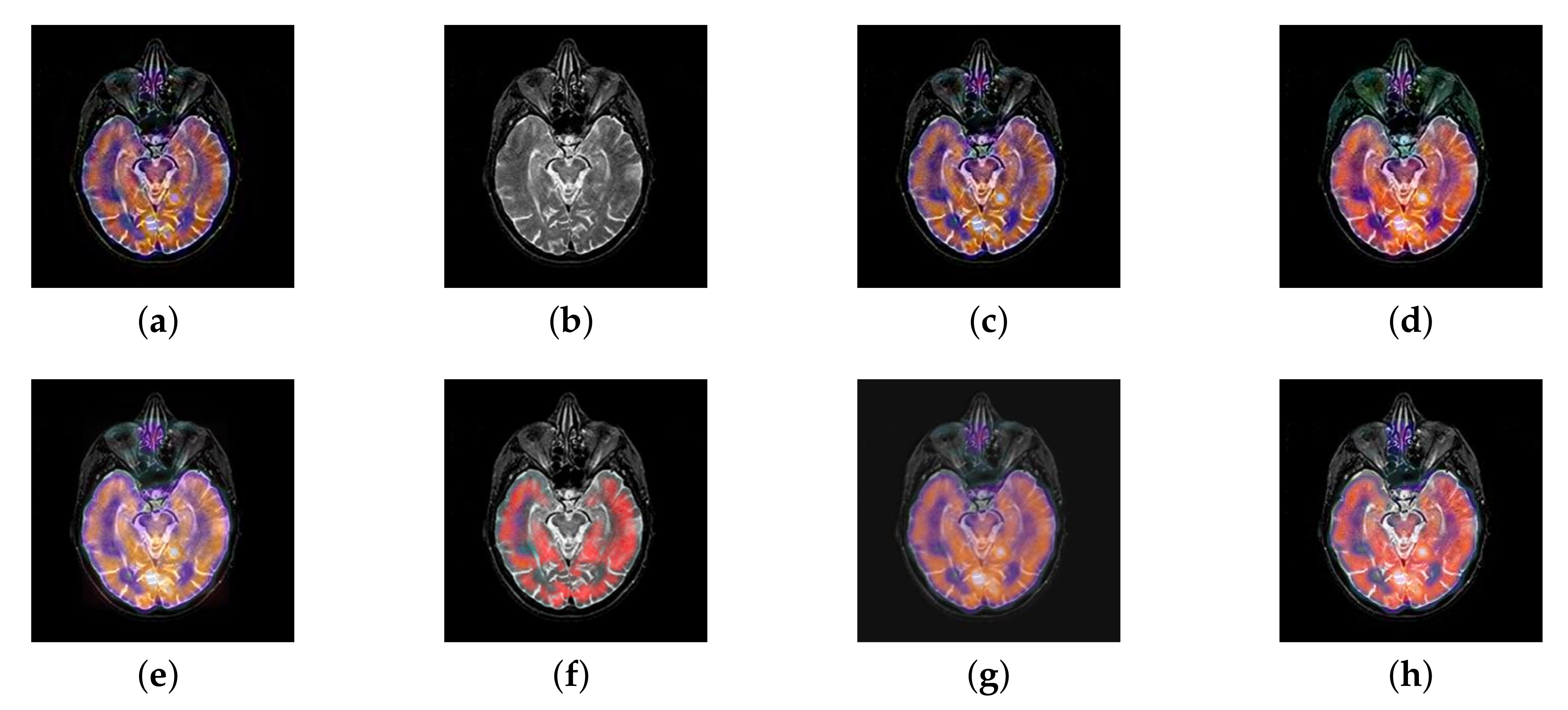 Entropy 22 01423 g042