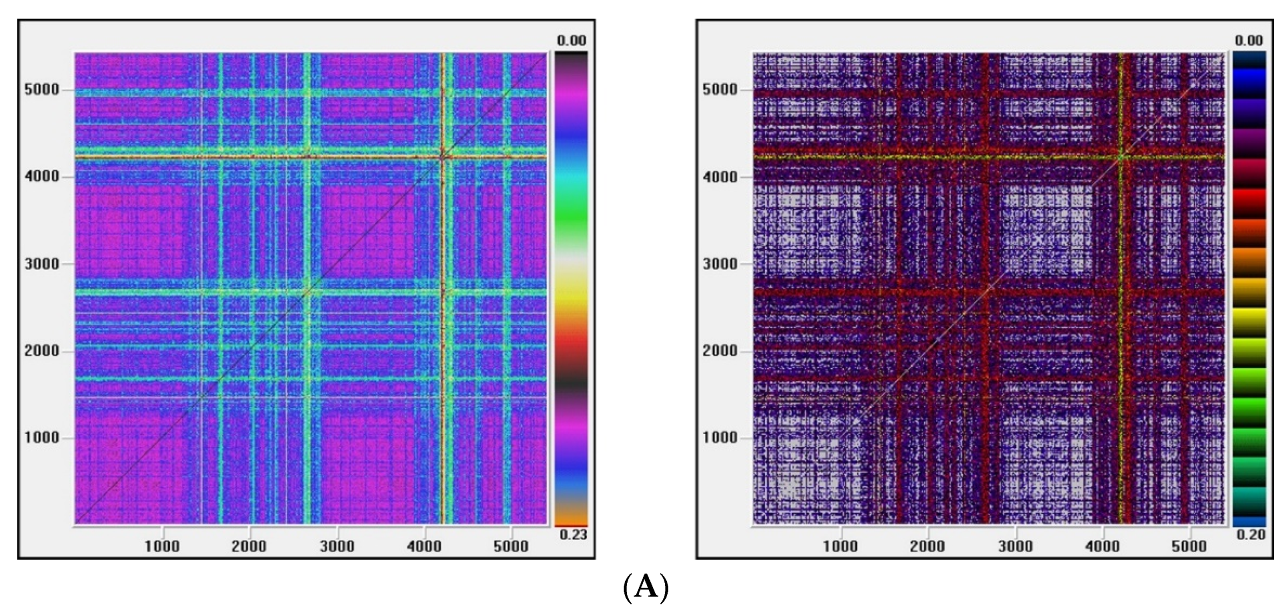 Entropy 22 01435 g003a