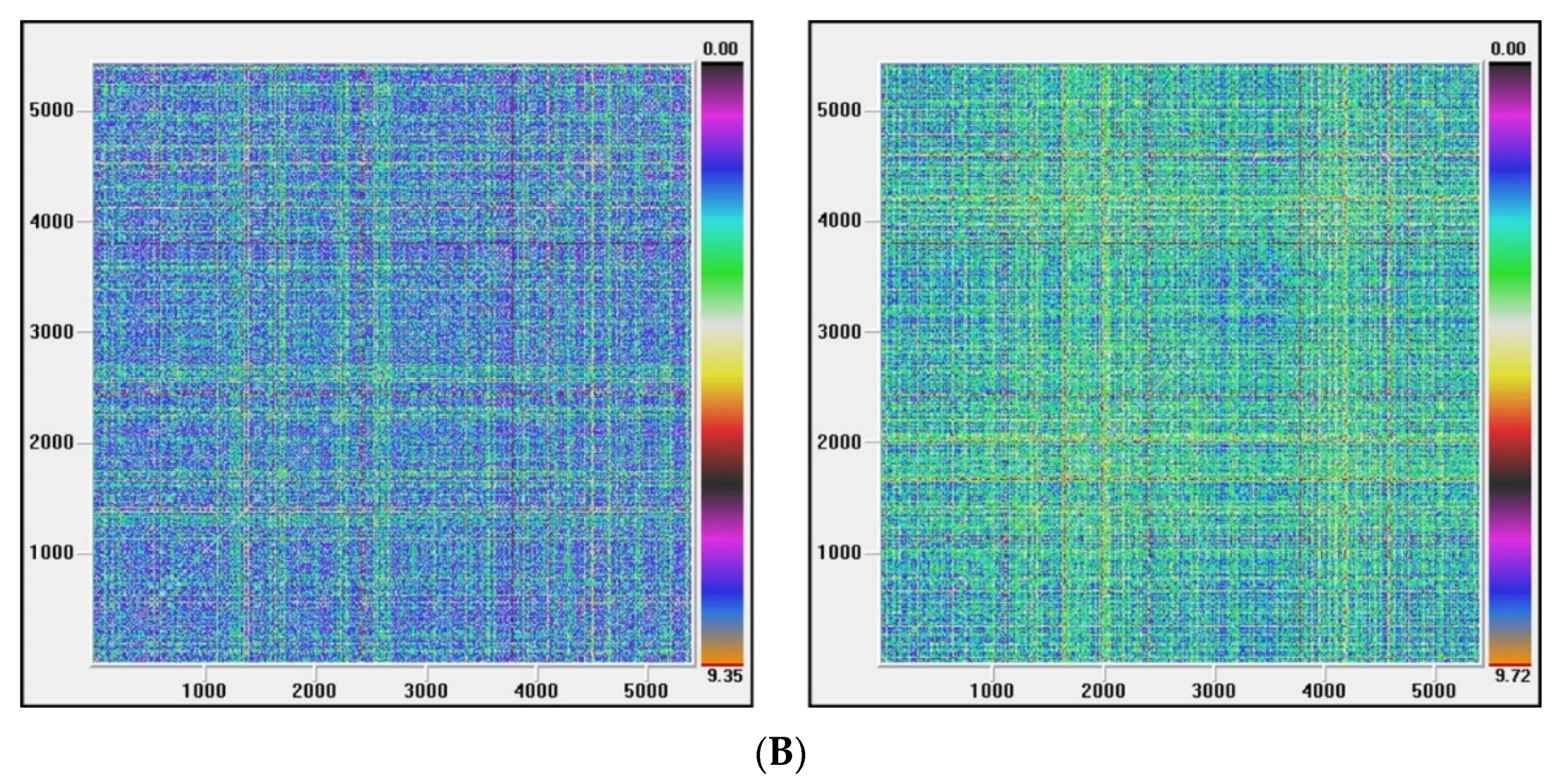 Entropy 22 01435 g003b