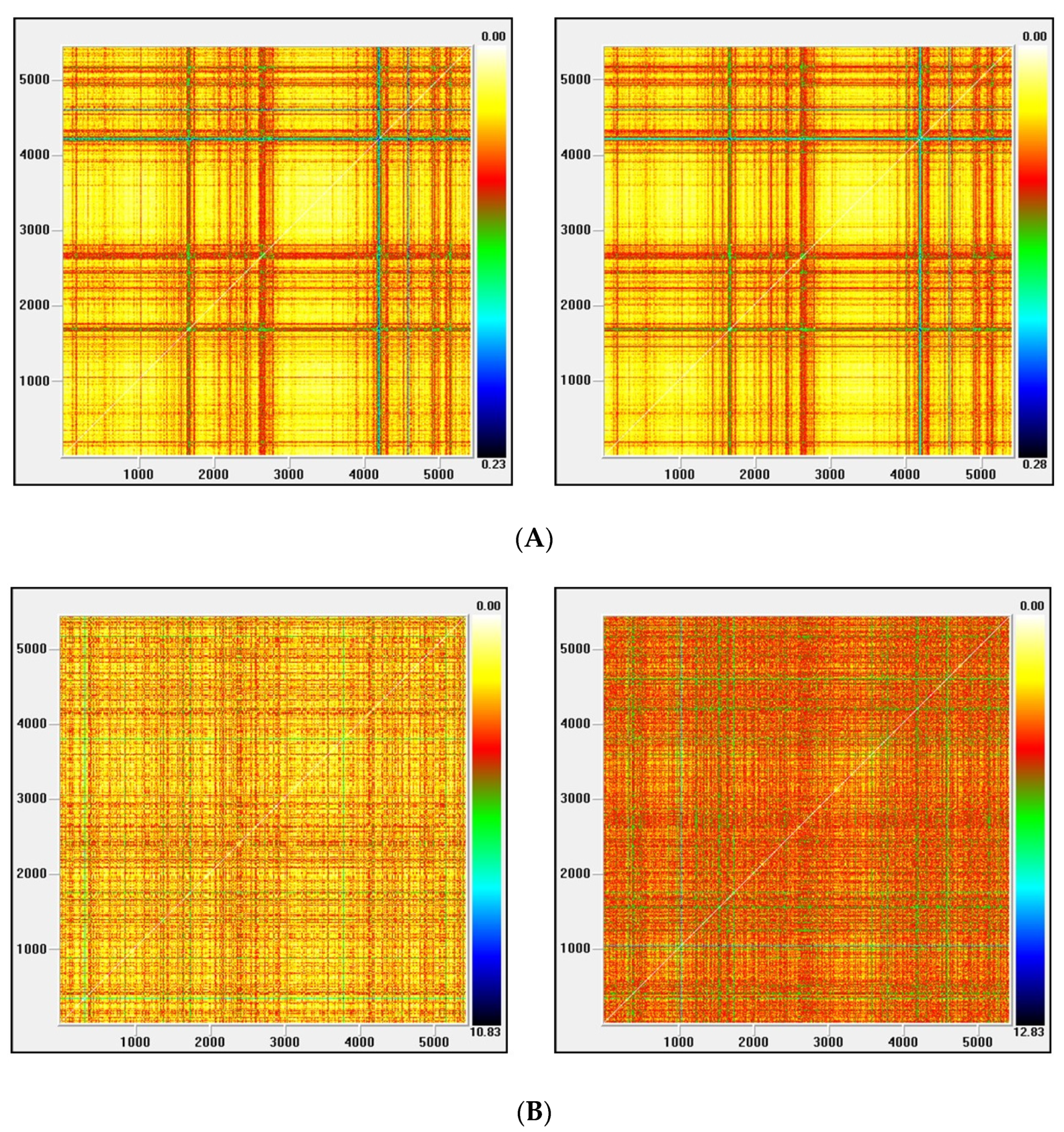 Entropy 22 01435 g004