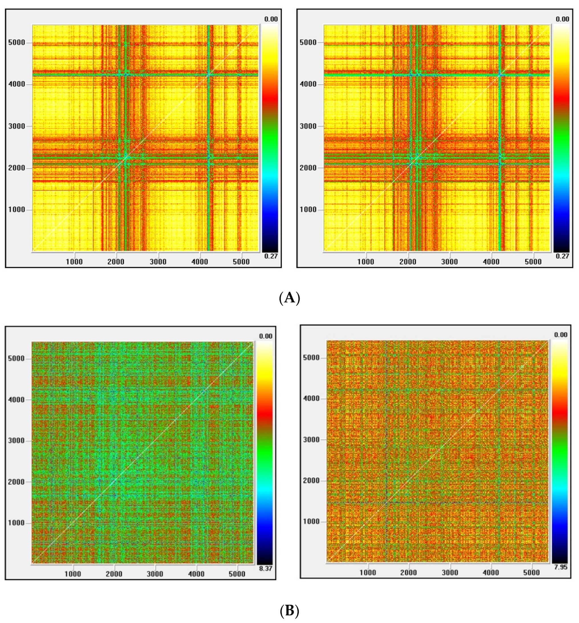 Entropy 22 01435 g005