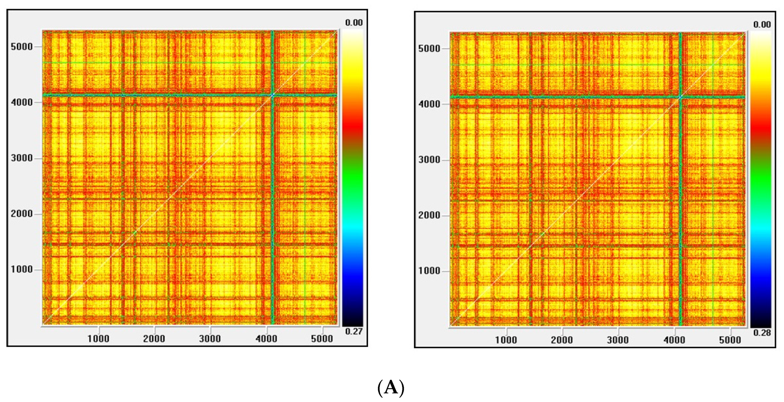 Entropy 22 01435 g006a