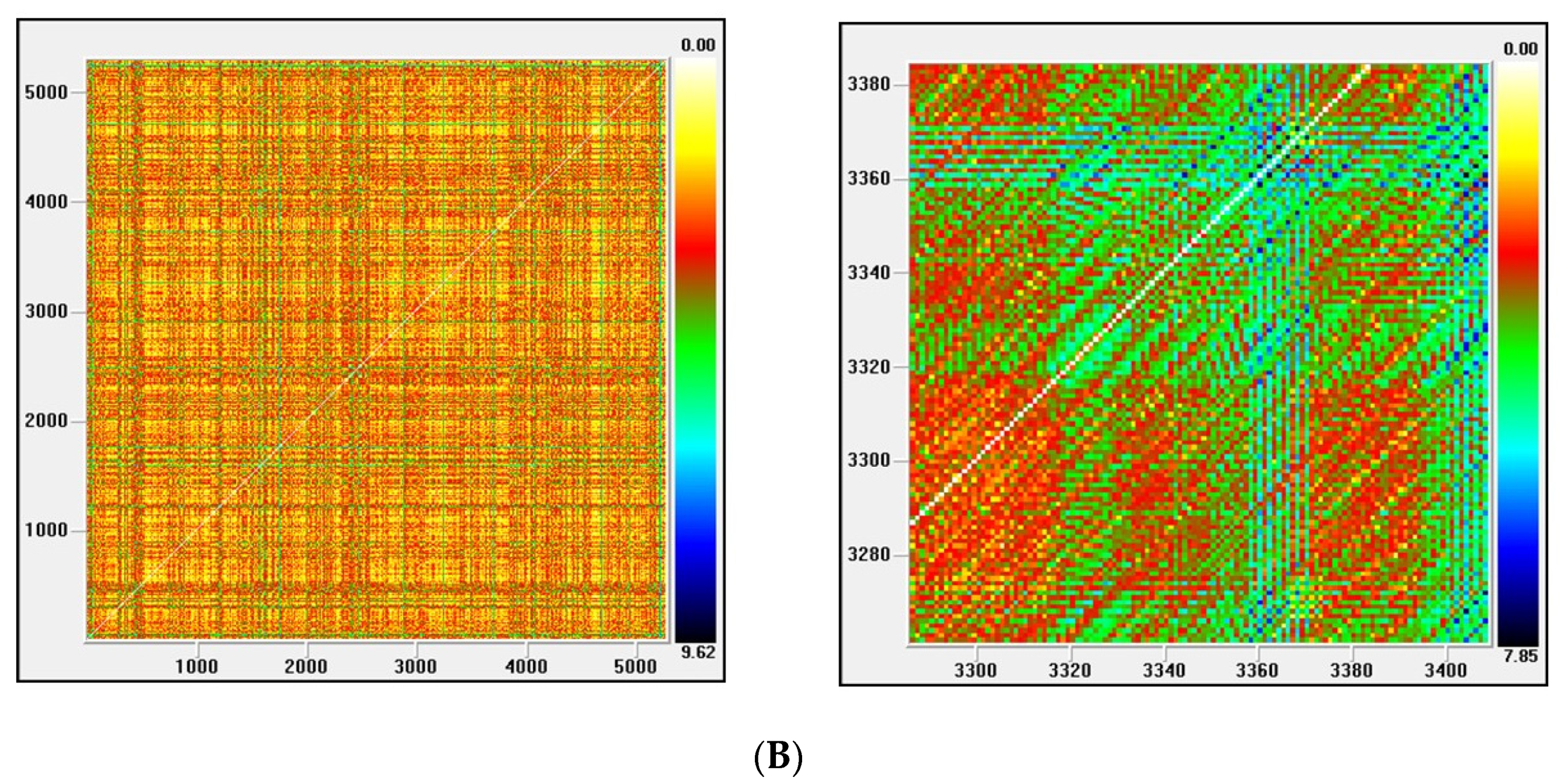 Entropy 22 01435 g006b