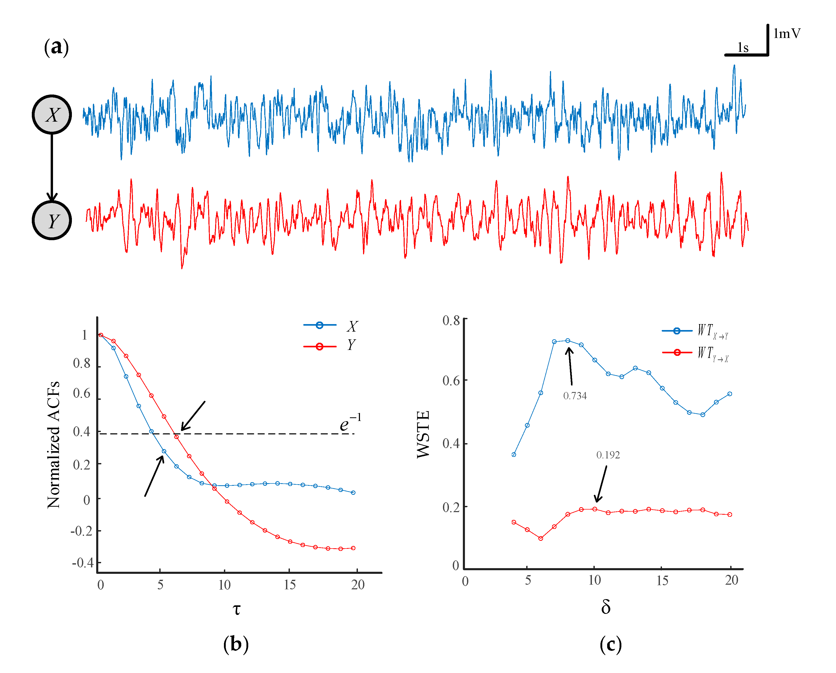 Entropy 22 01442 g002