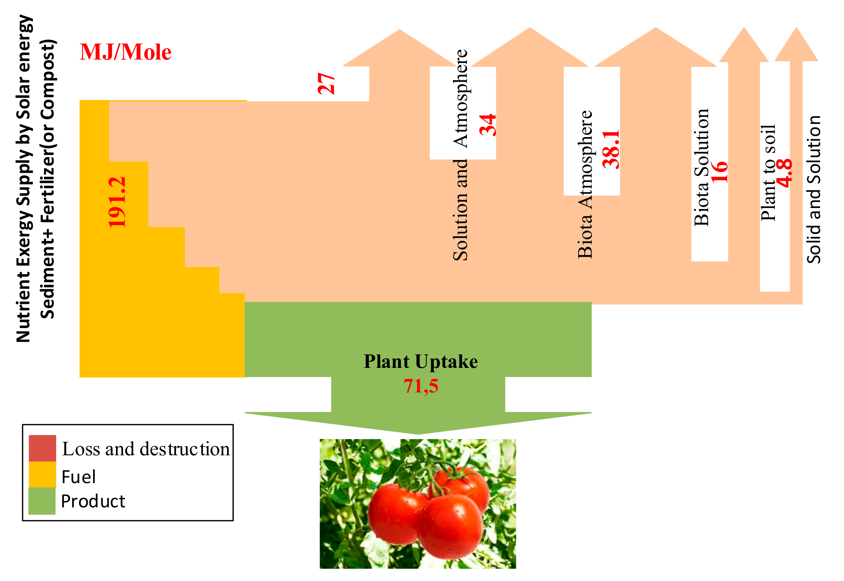 Entropy 23 00003 g004