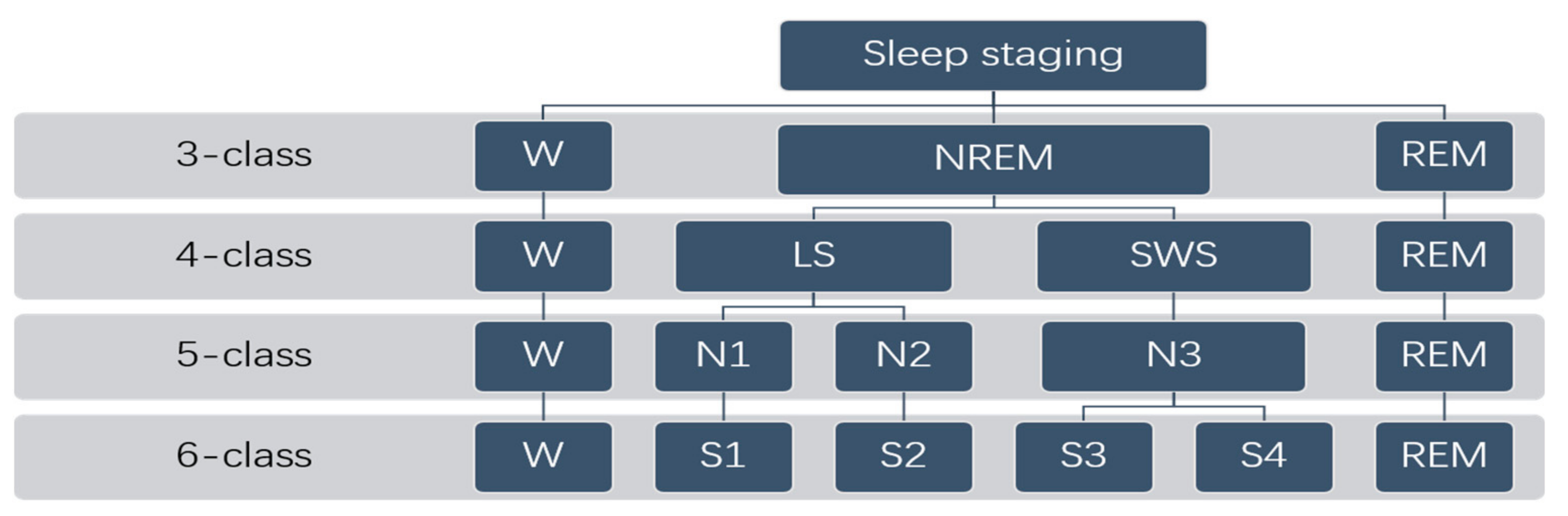 Entropy 23 00116 g002
