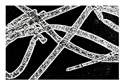Entropy 23 00257 i003 Entropy 23 00257 i003