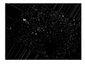 Entropy 23 00257 i011 Entropy 23 00257 i011
