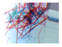 Entropy 23 00257 i014 Entropy 23 00257 i014